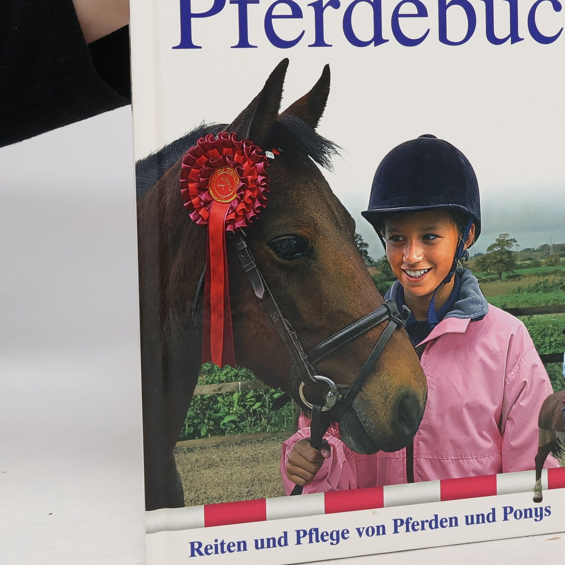 Collectif d'auteurs Mein Pferdebuch