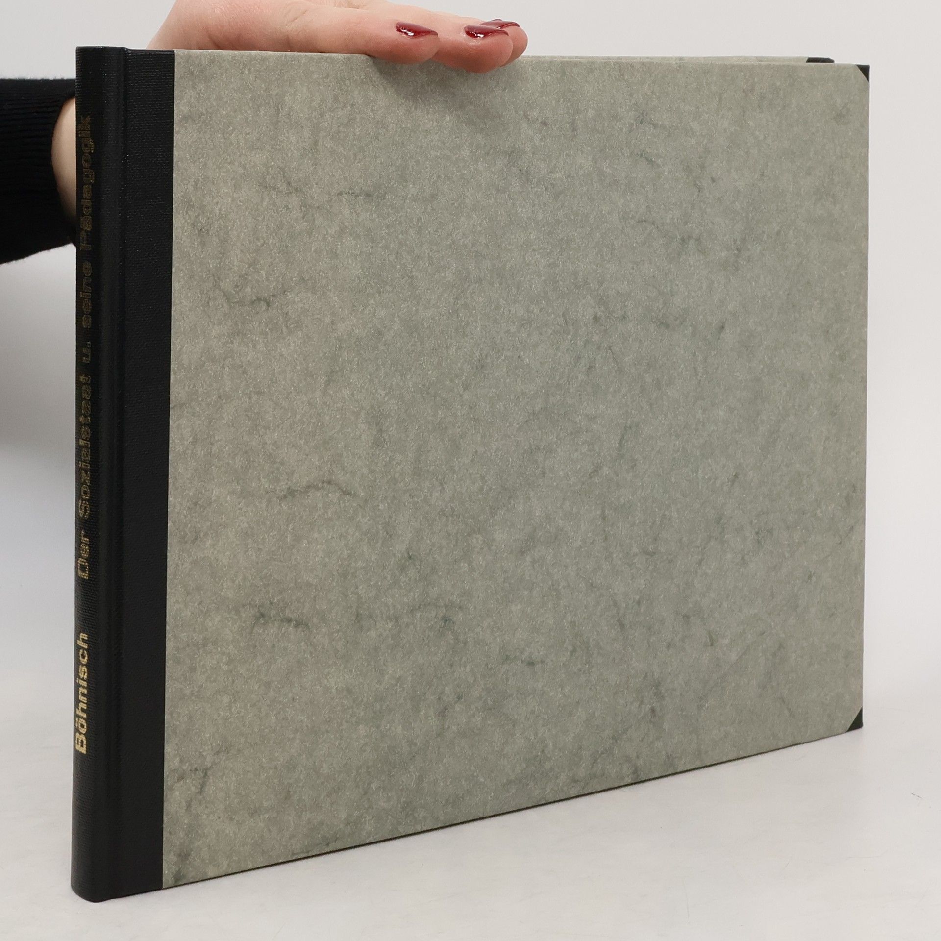 Lothar Böhnisch Der Sozialstaat und seine Pädagogik