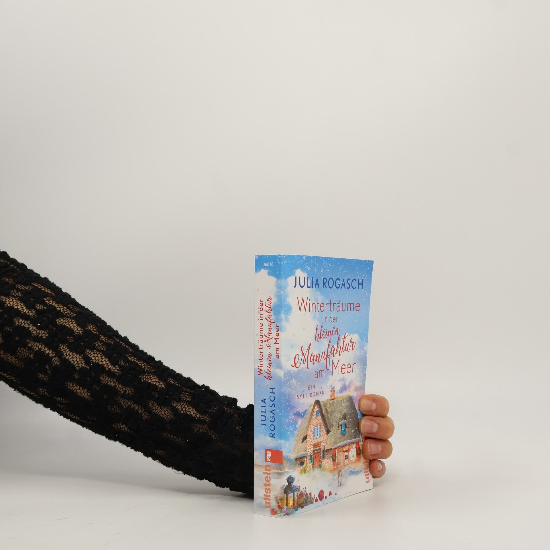 Julia Rogasch Winterträume in der kleinen Manufaktur am Meer
