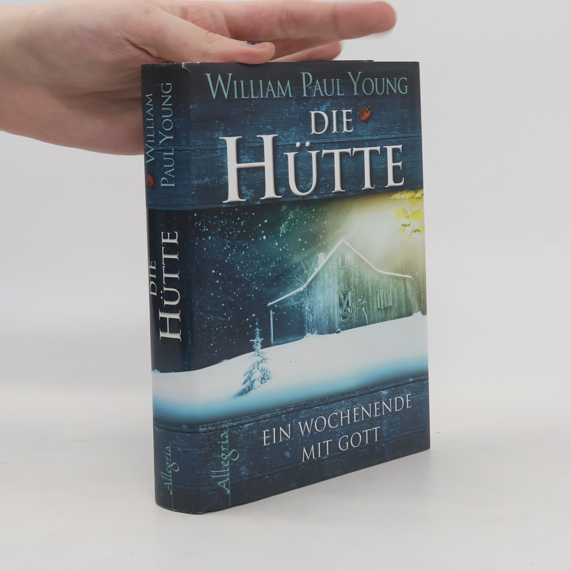 William Paul Young Die Hütte