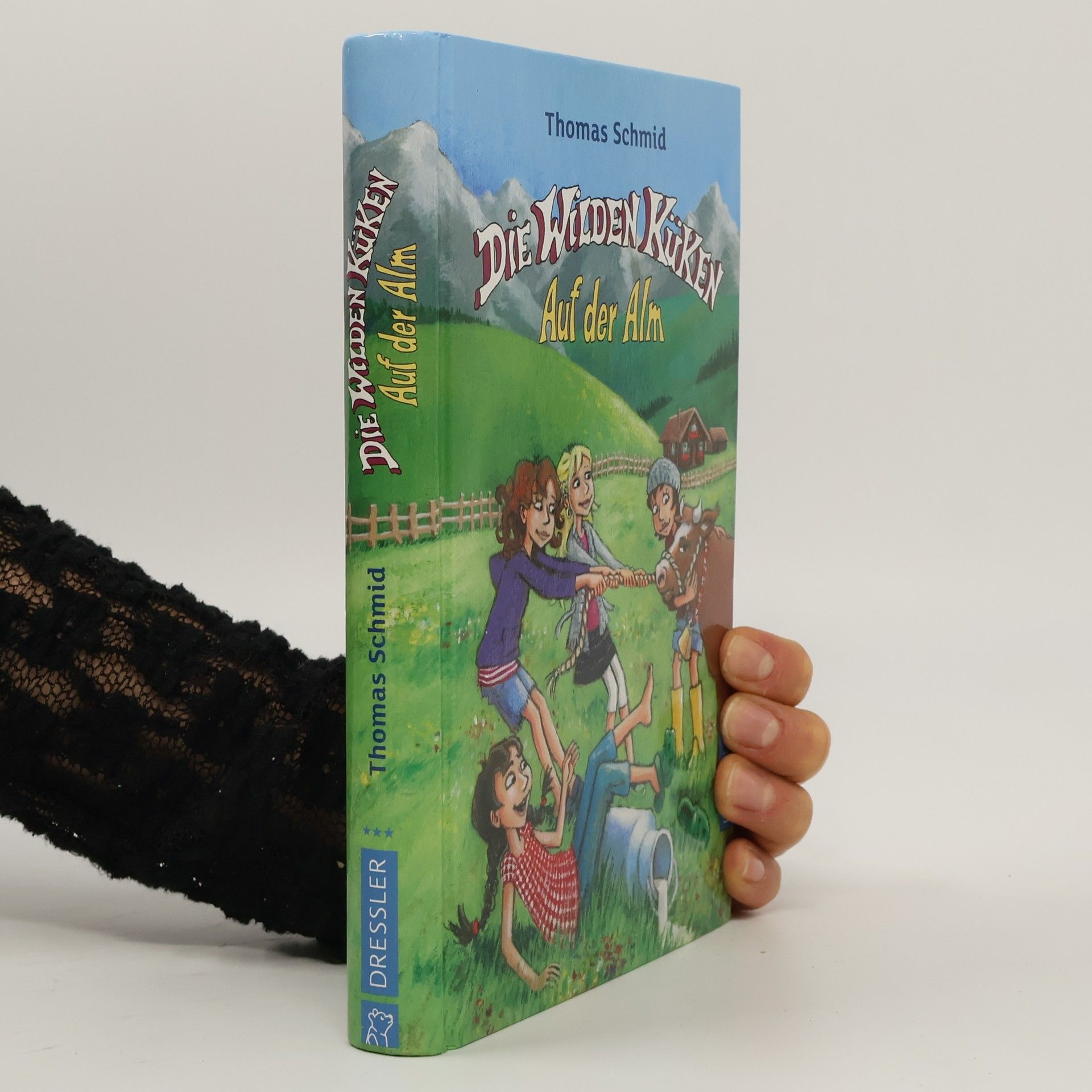 Thomas Schmid Die wilden Küken