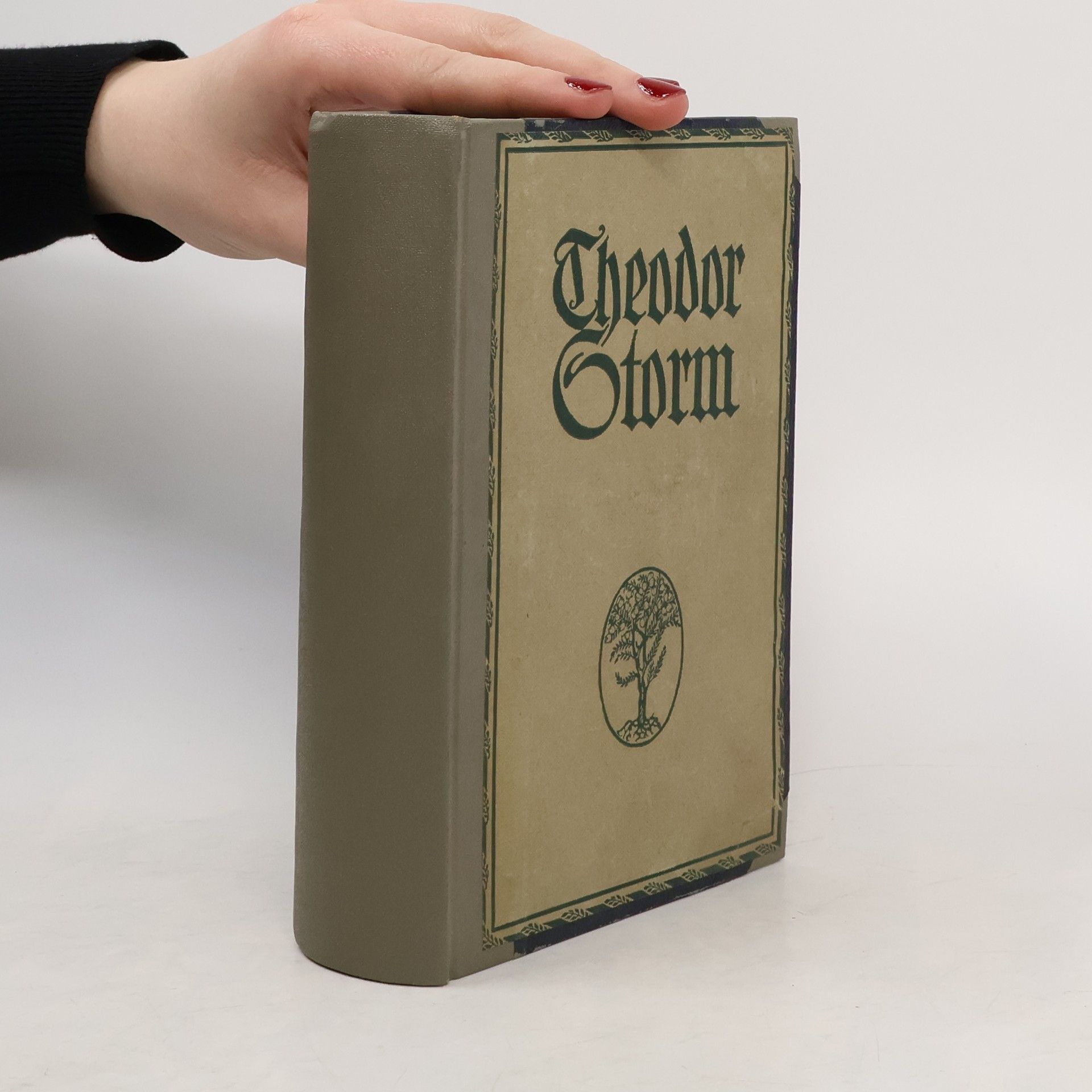 Theodor Storm Theodor Storm Sämtliche Werke 3