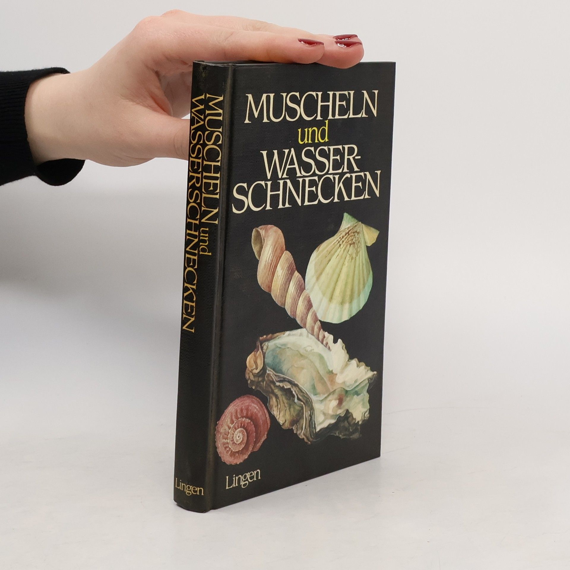 Jan Lellák Muscheln und Wasserschnecken