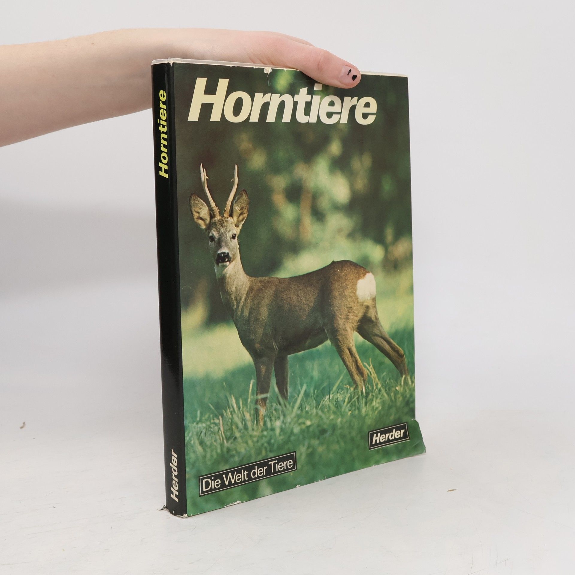 Giovanni Giuseppe Bellani Horntiere