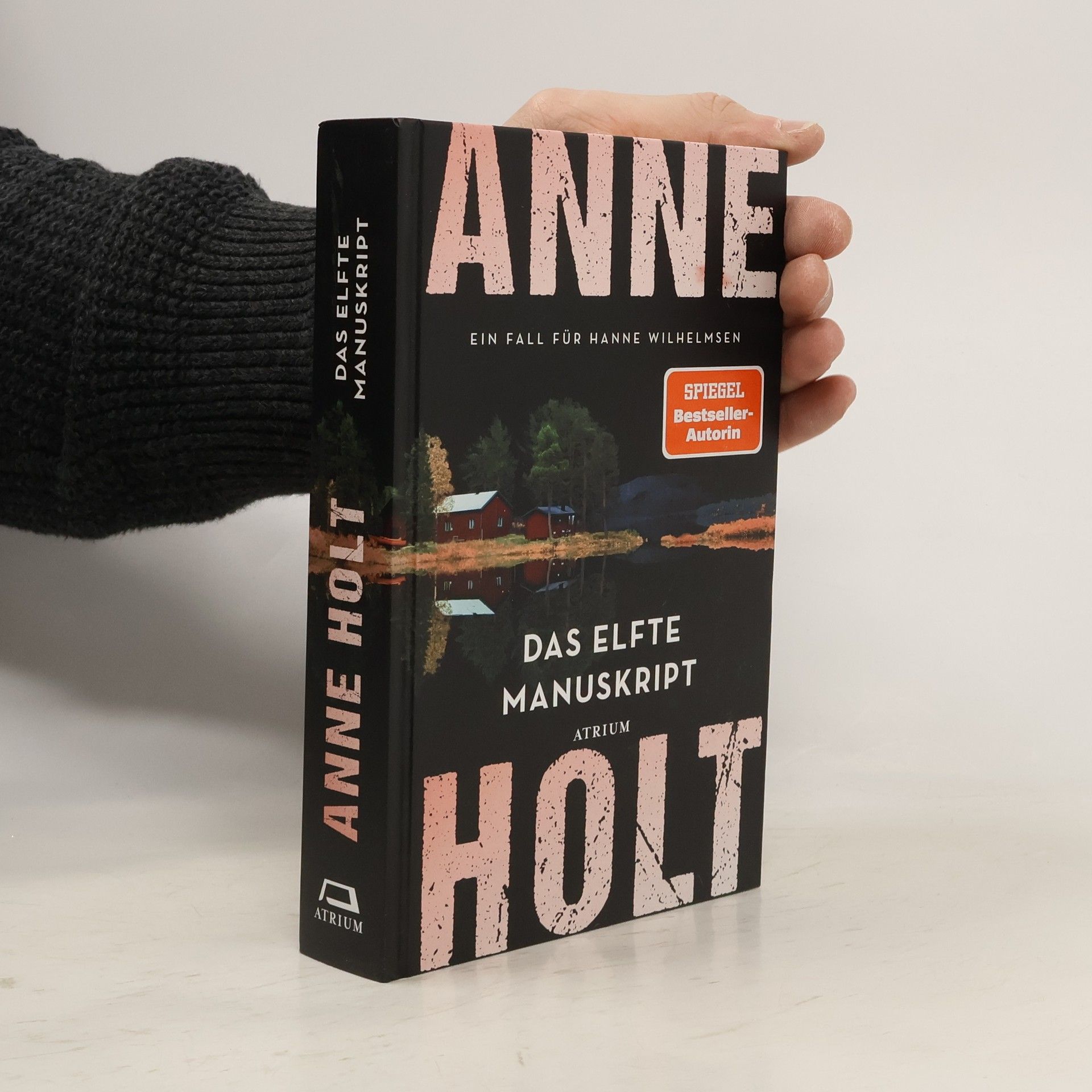 Anne Holt Das elfte Manuskript. Ein Fall für Hanne Wilhelmsen