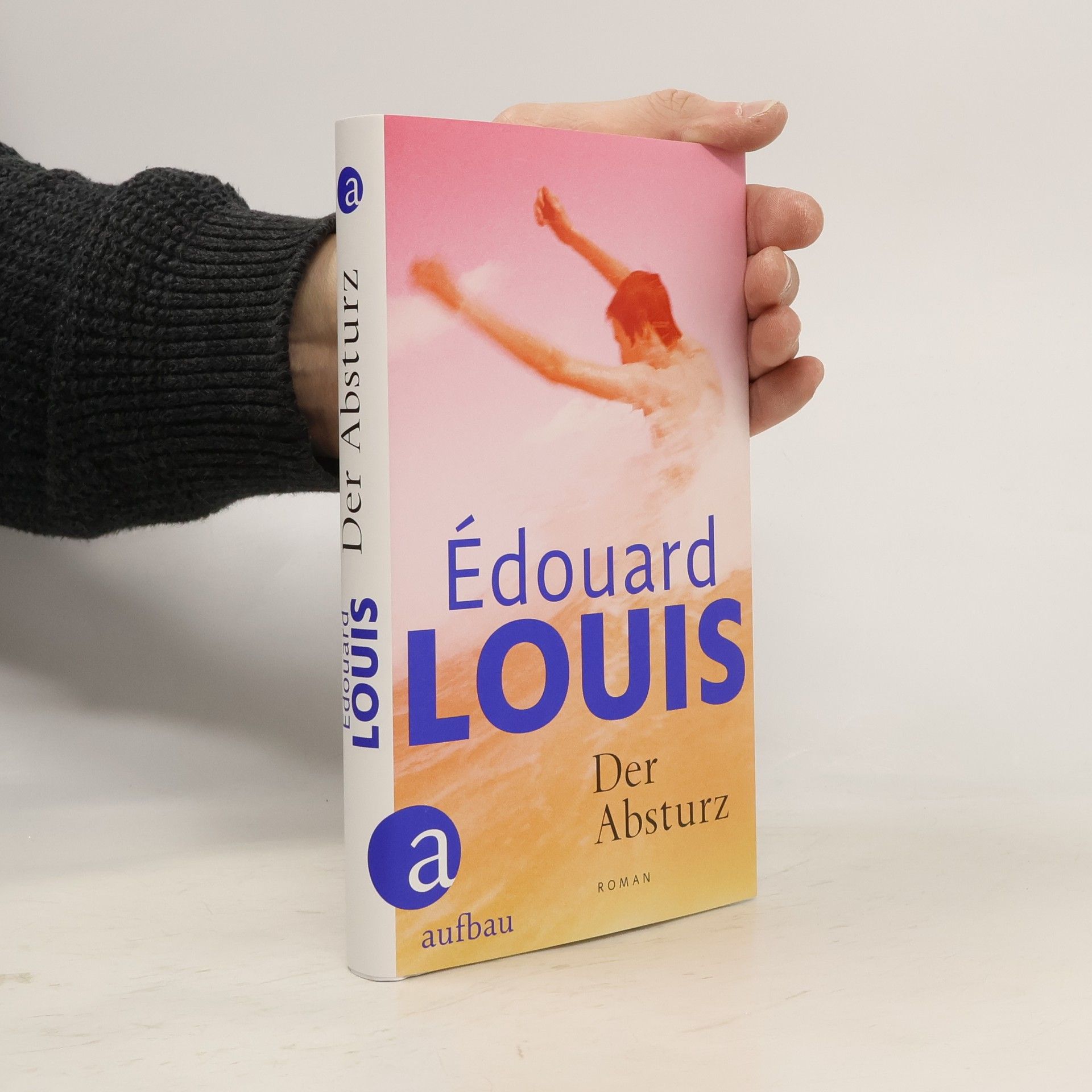 Édouard Louis Der Absturz