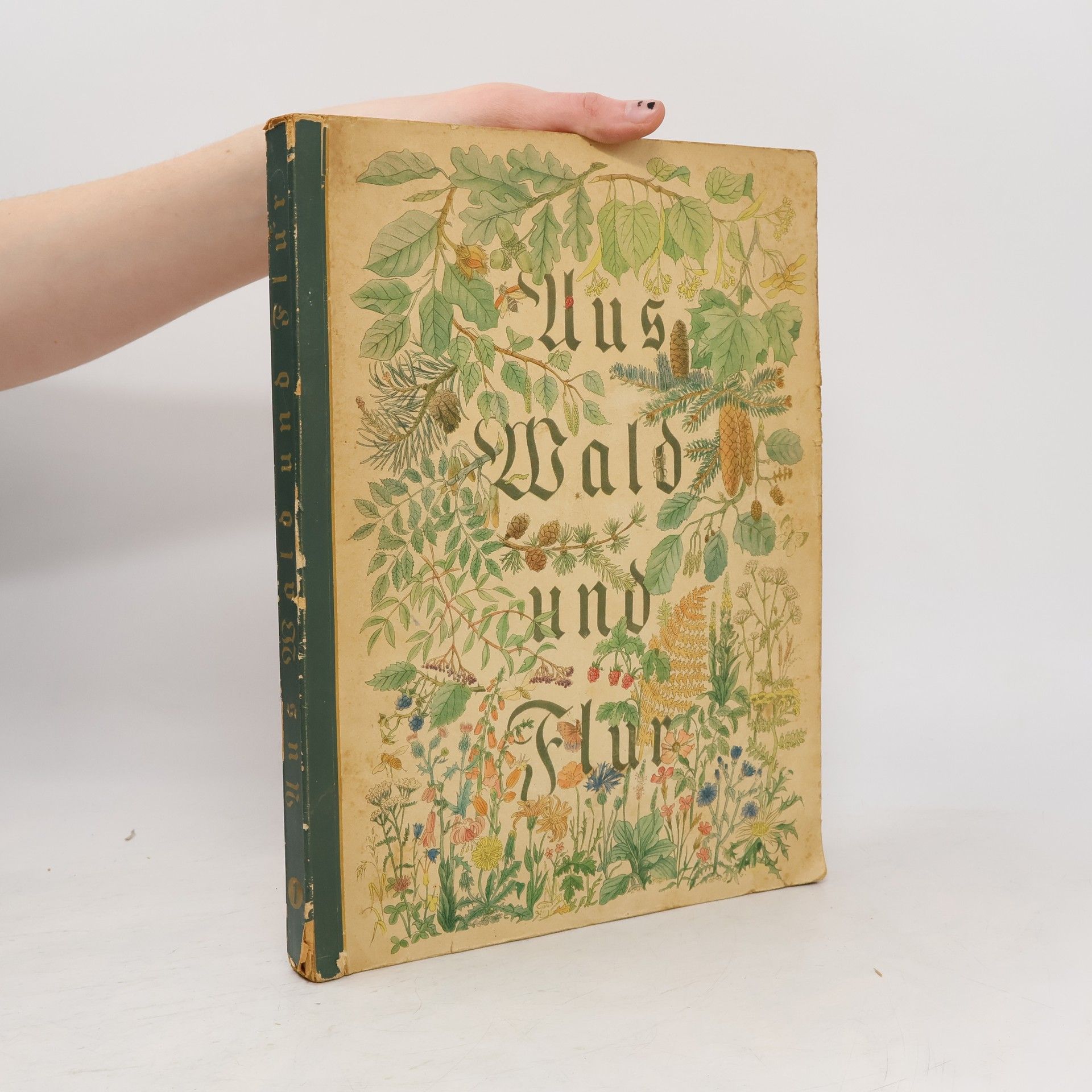 Walter Nöldner Aus Wald und Flur