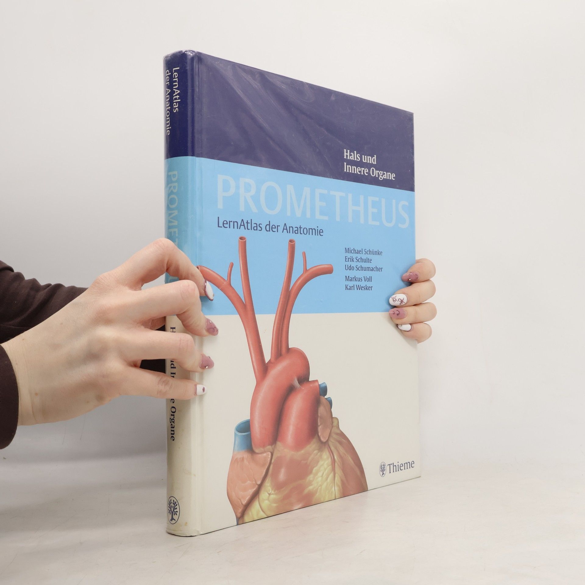 Prometheus. LernAtlas der Anatomie