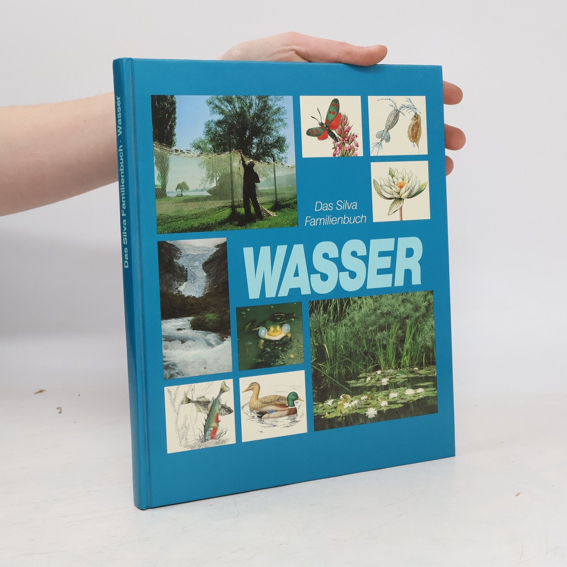 Autorenkollektiv Das Silva Familienbuch. Wasser