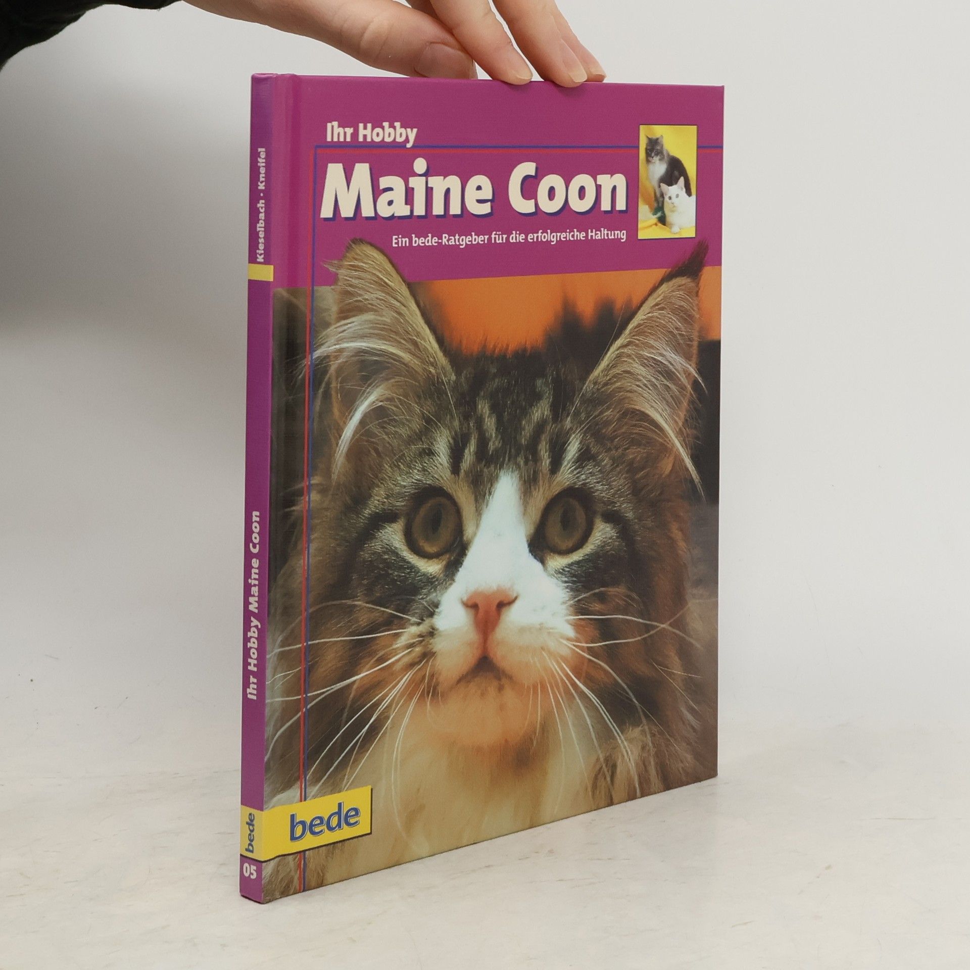 Dominik Kieselbach Maine Coon