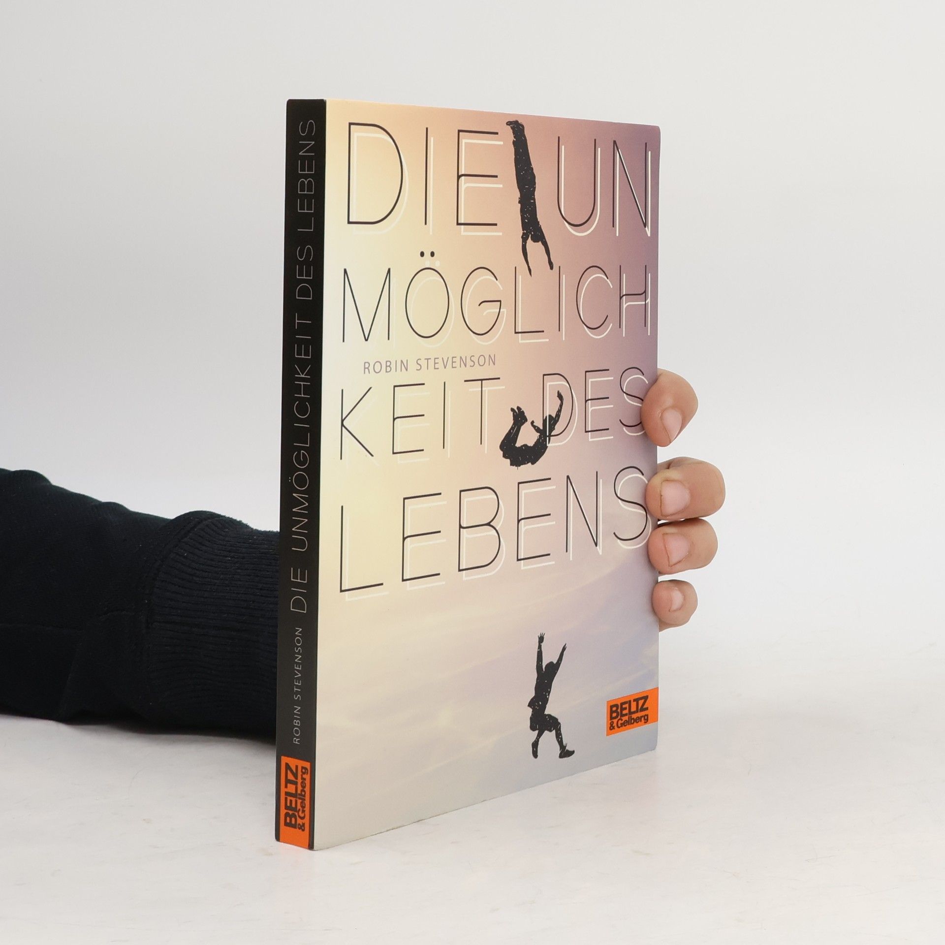 Robin Stevenson Die Unmöglichkeit des Lebens