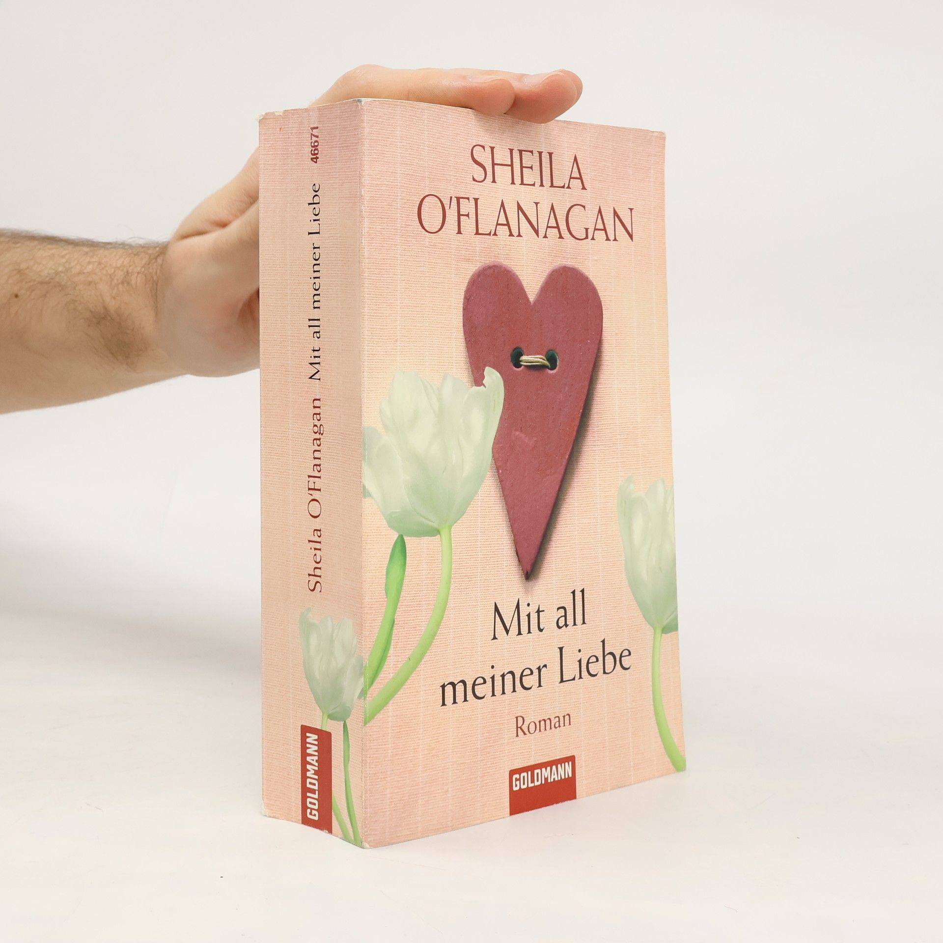 Sheila O’Flanagan Mit all meiner Liebe