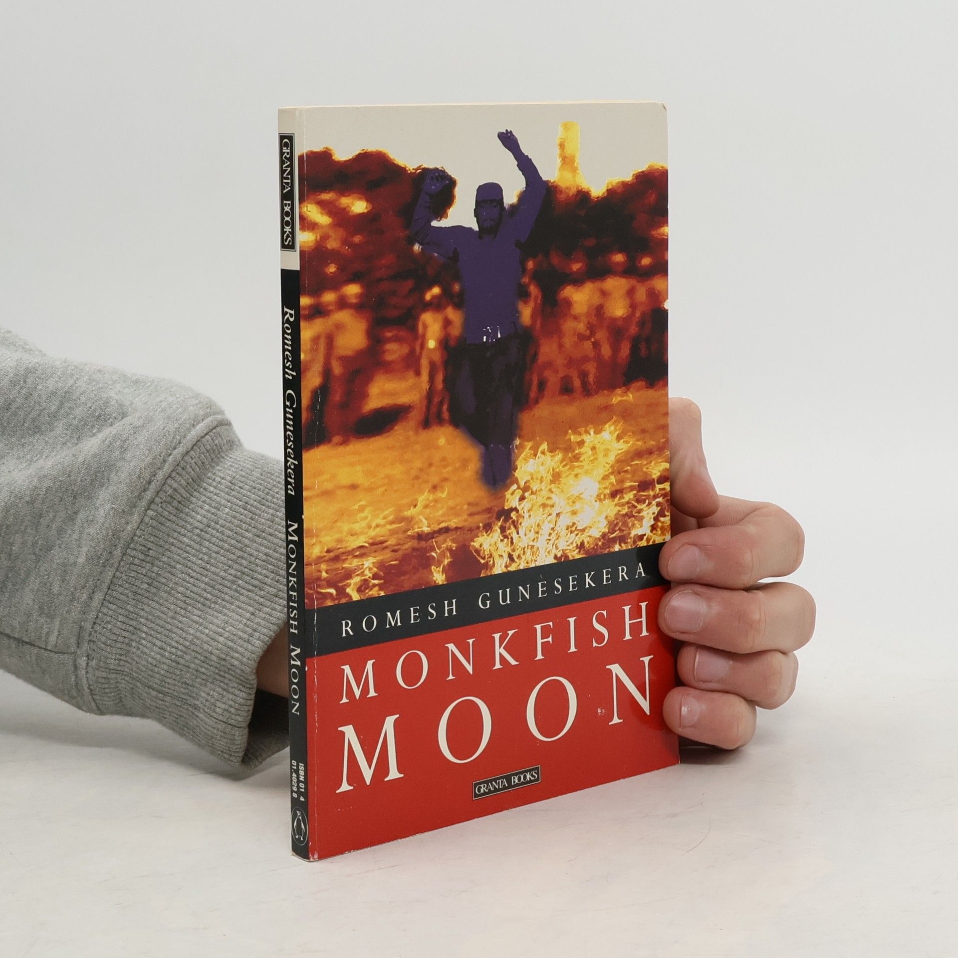 Romesh Gunesekera Monkfish Moon