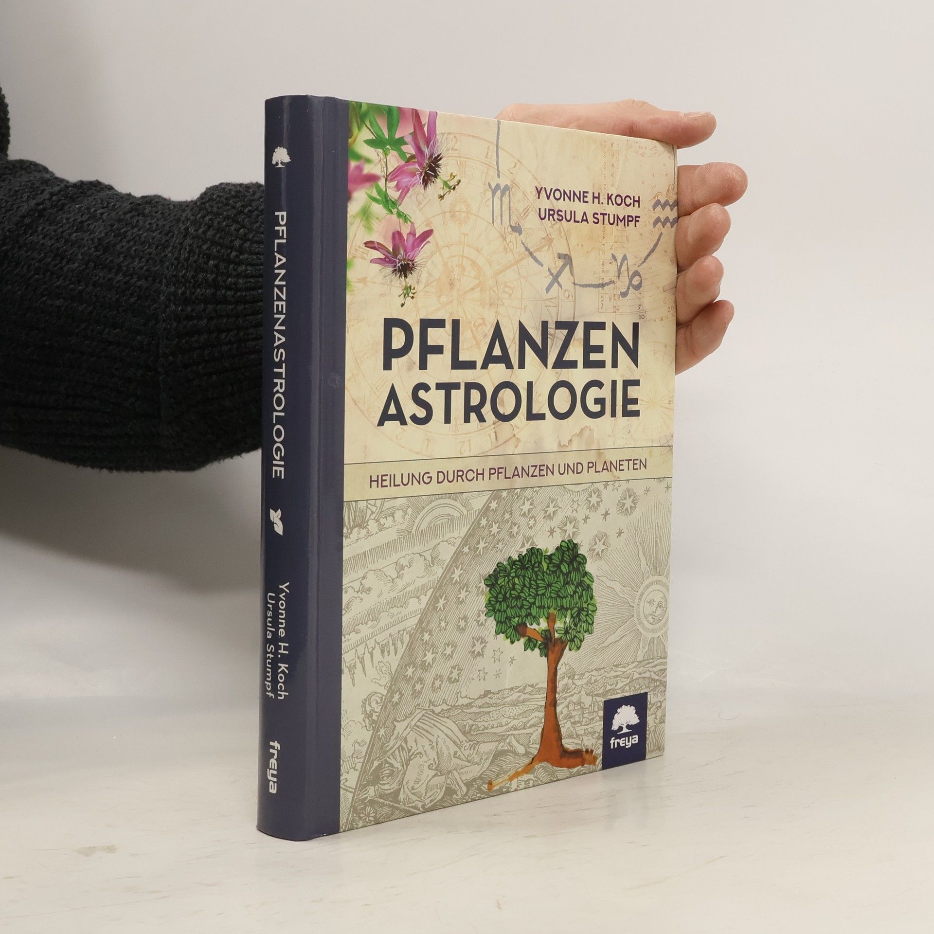 Yvonne H. Koch Pflanzenastrologie