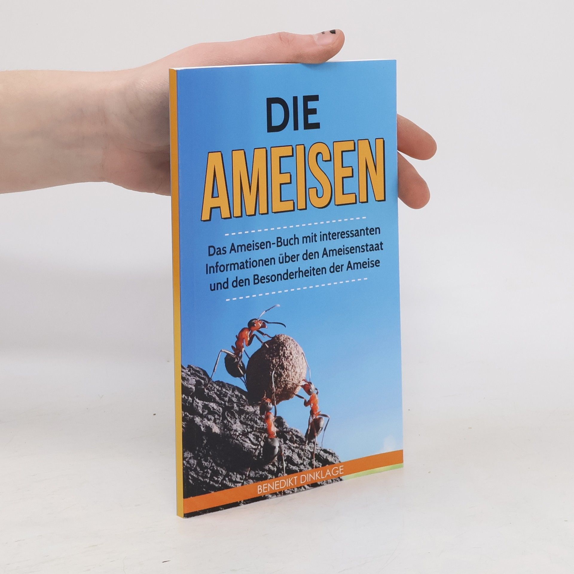 Benedikt Dinklage Die Ameisen