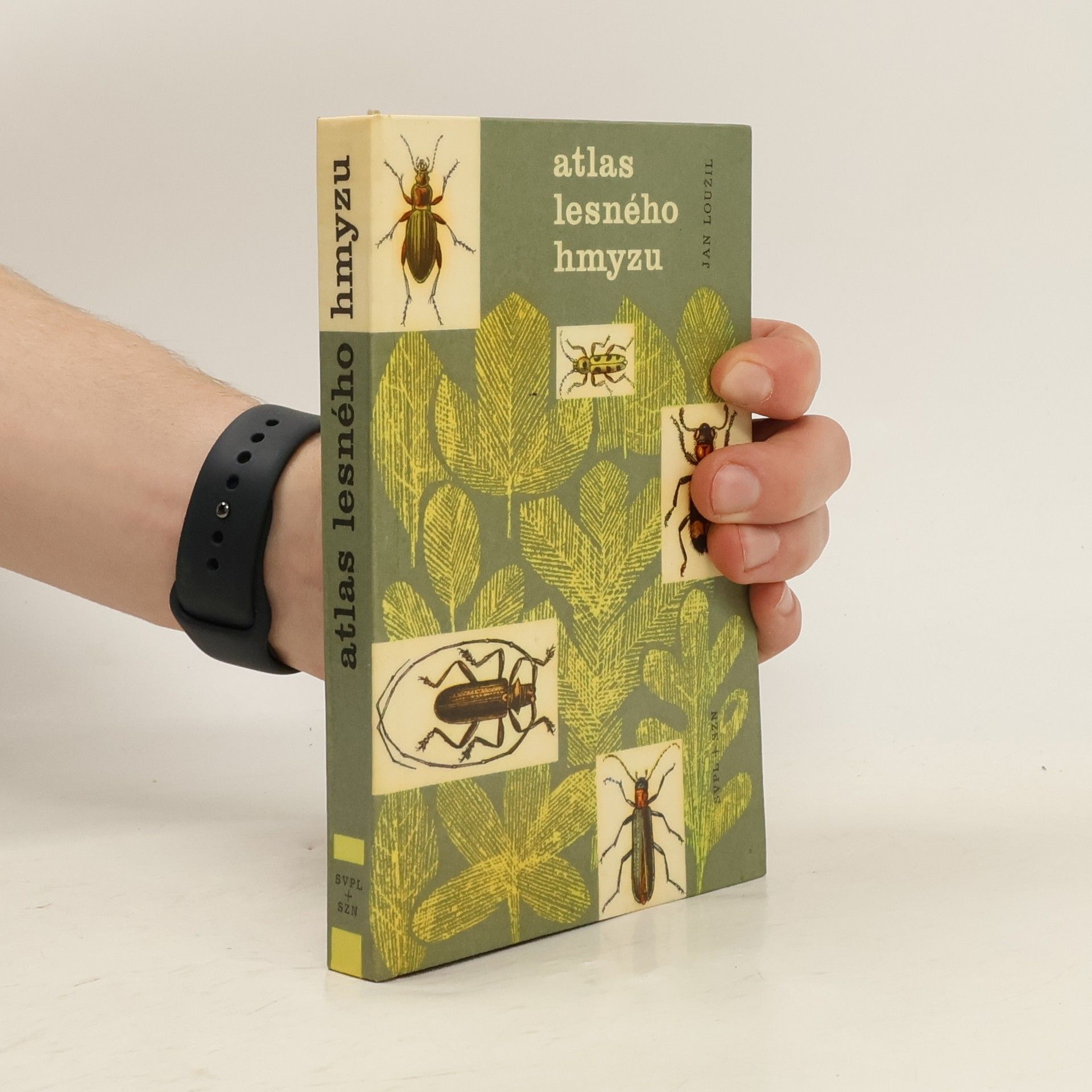 Jan Loužil Atlas lesného hmyzu