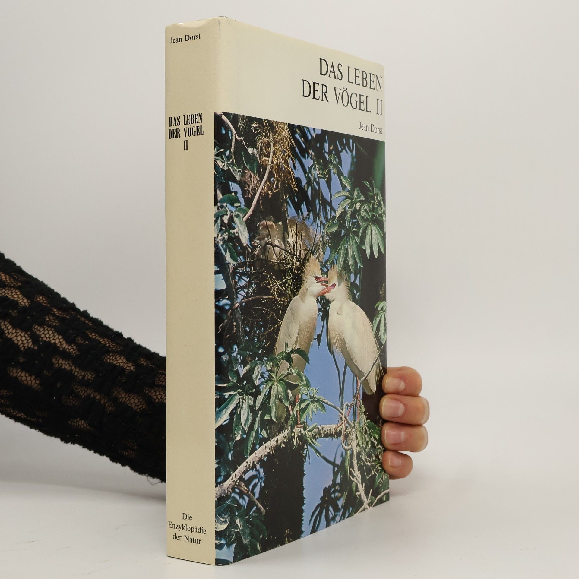 Jean Dorst Die Enzyklopädie der Natur 12. Das Leben der Vögel II