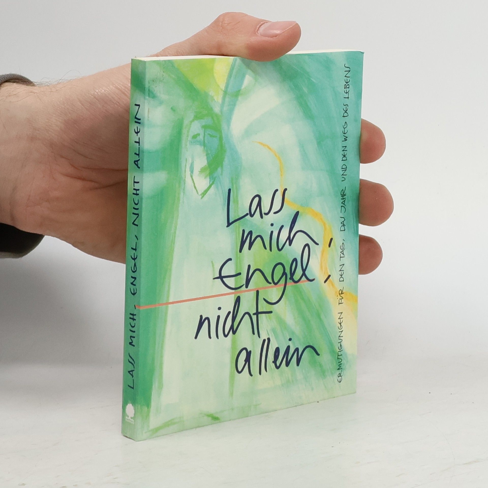 Martin Schmeisser Lass mich, Engel, nicht allein. Ermutigungen für den Tag, das Jahr und den Weg des Lebens