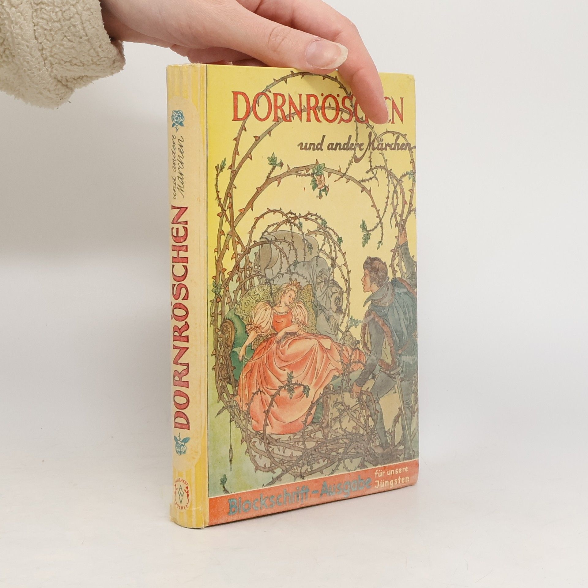 bratři Grimmové Dornröschen und andere Märchen