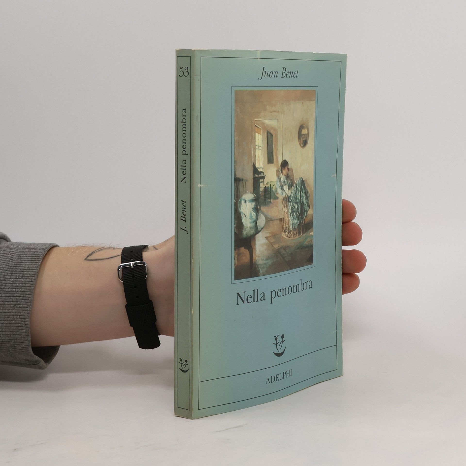 Juan Benet Fabula - 53: Nella penombra