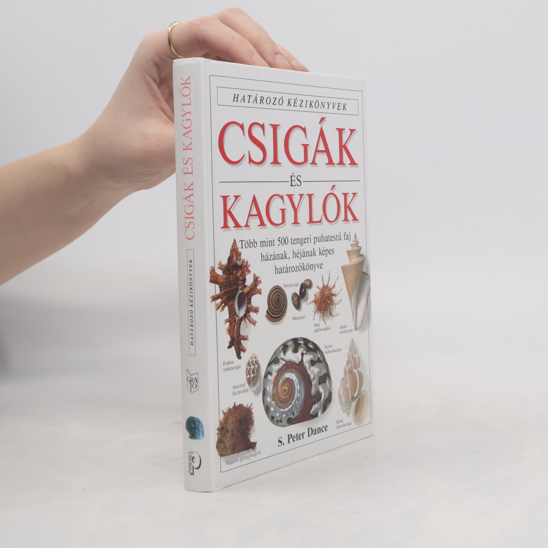 S. Peter Dance Csigák és kagylók