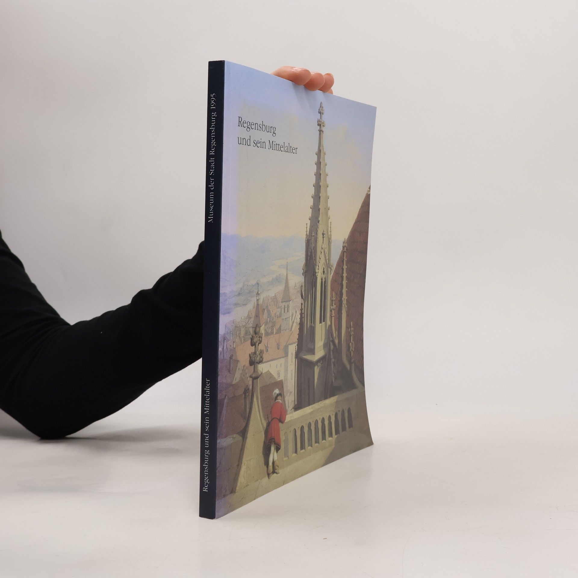 Regensburg und sein Mittelalter