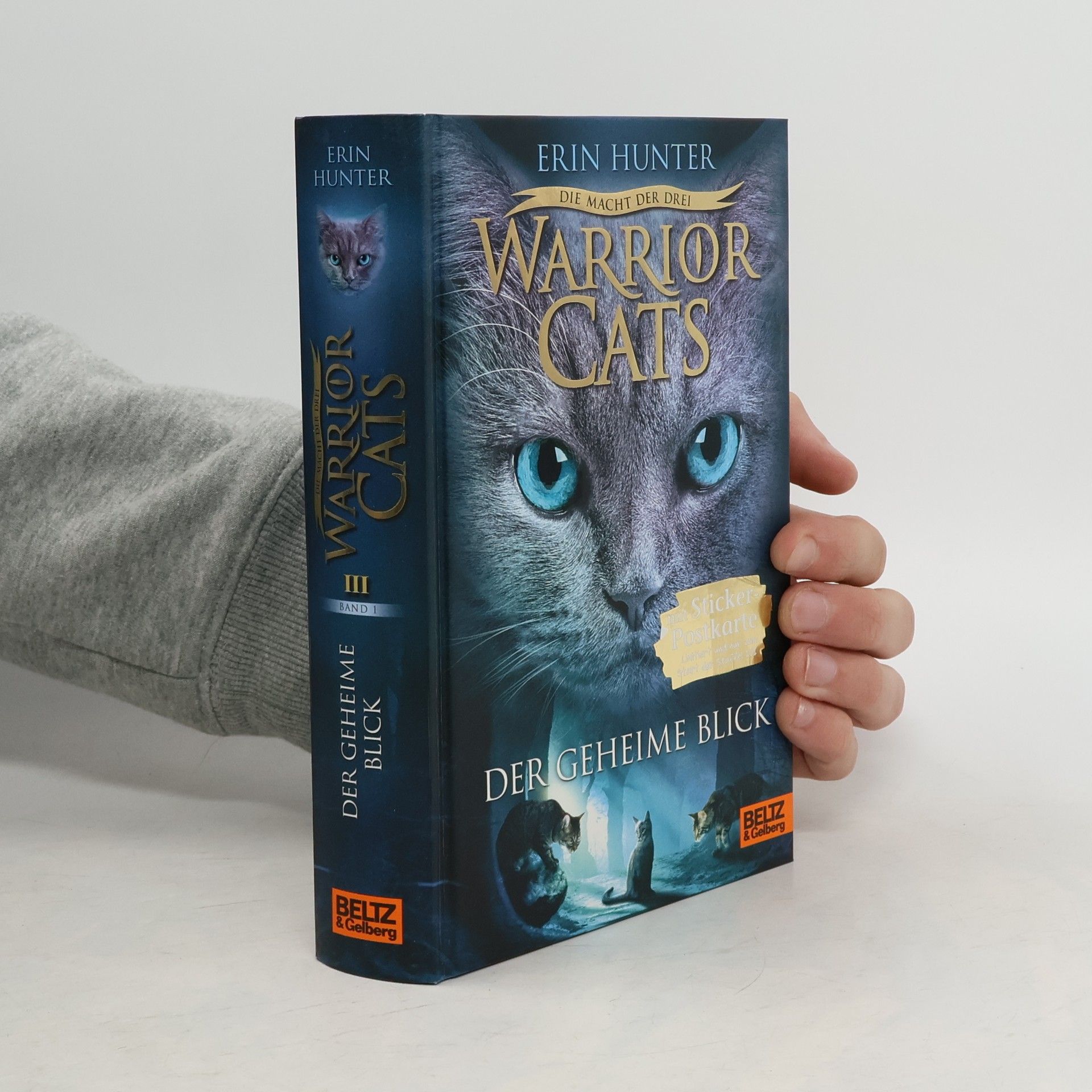 Warrior Cats: Der geheime Blick