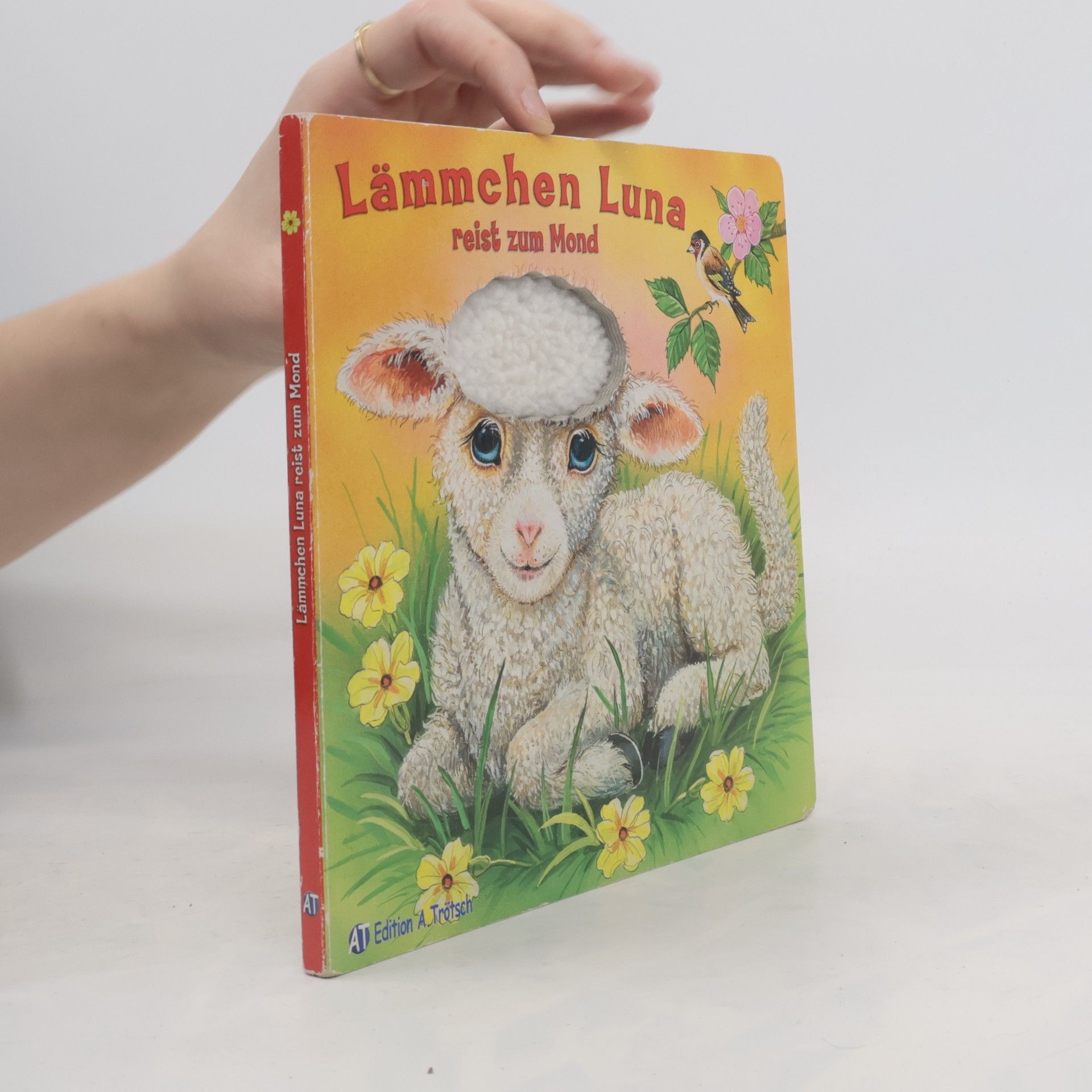 Ray Cresswell Lämmchen Luna reist zum Mond