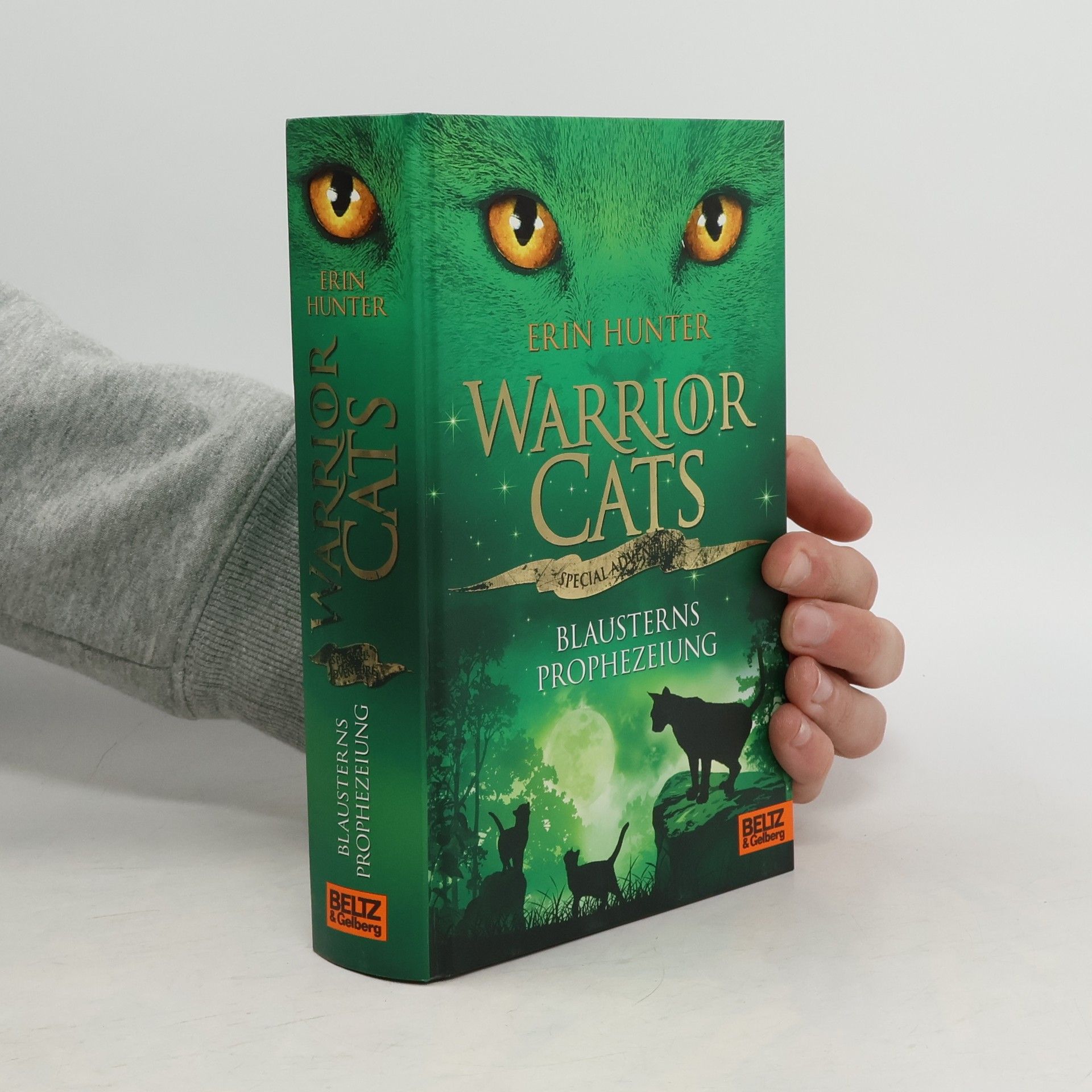 Erin Hunter Warrior cats. Special Adventure