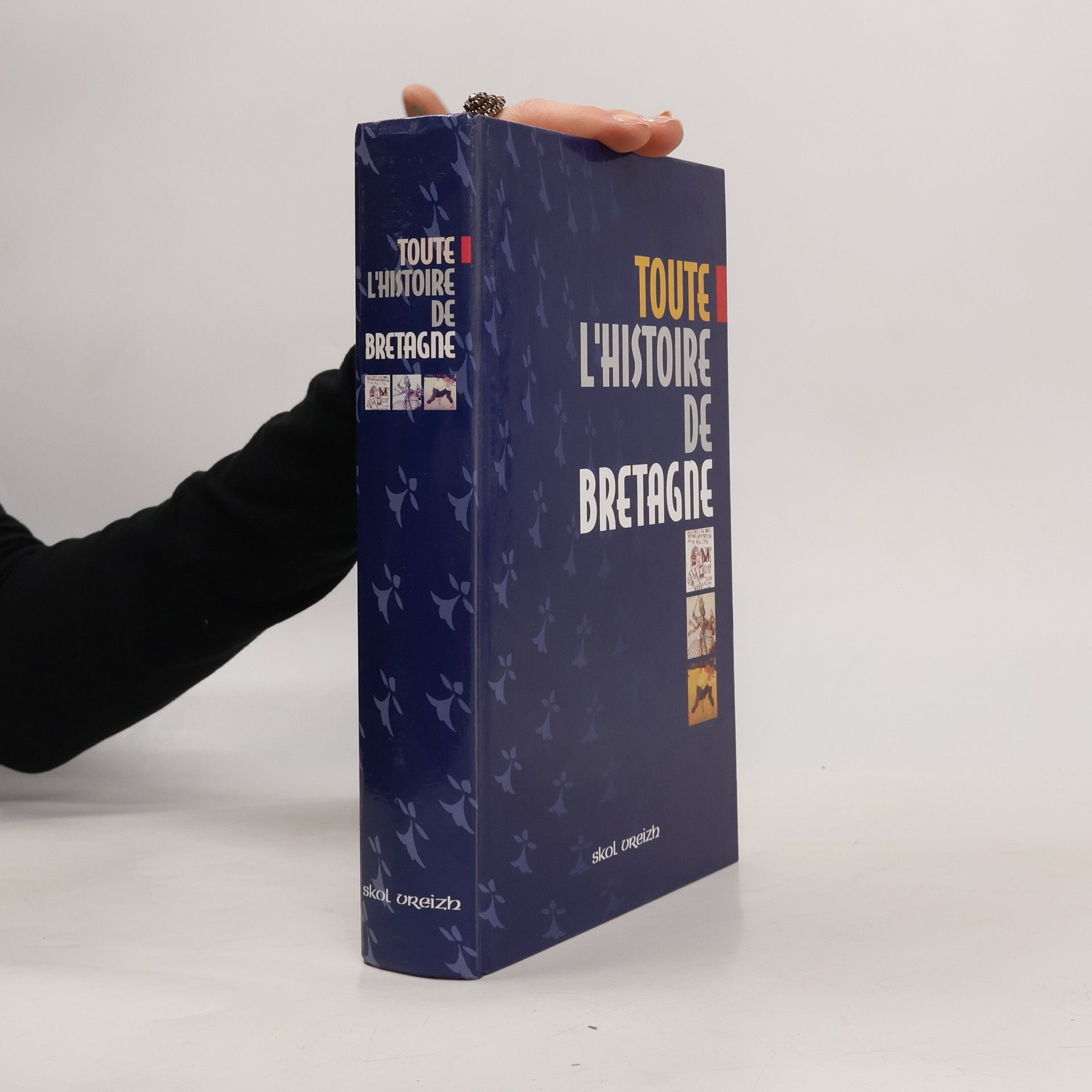 Jean-Jacques Monnier Toute l'histoire de Bretagne