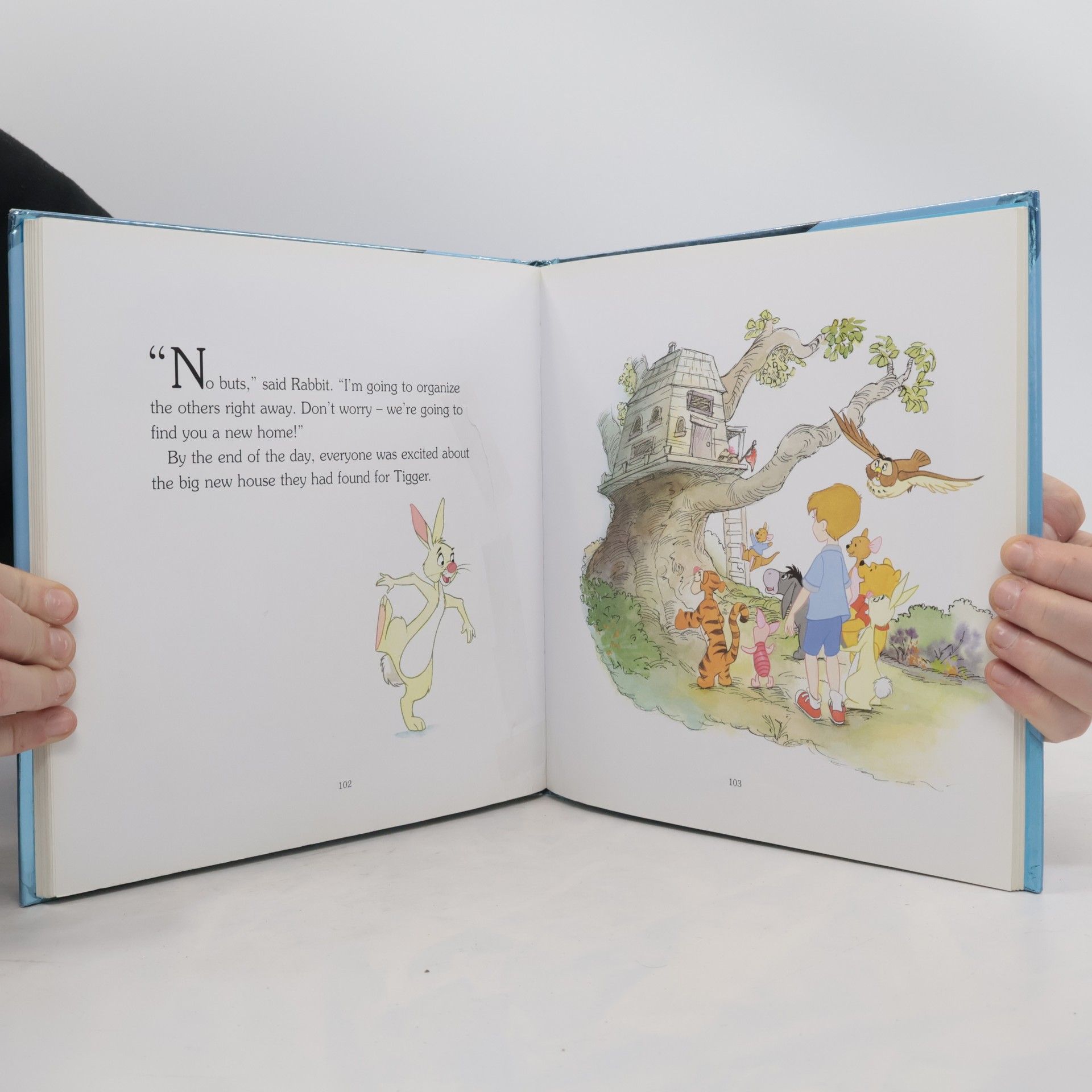 Disney Winnie the Pooh Story Collection