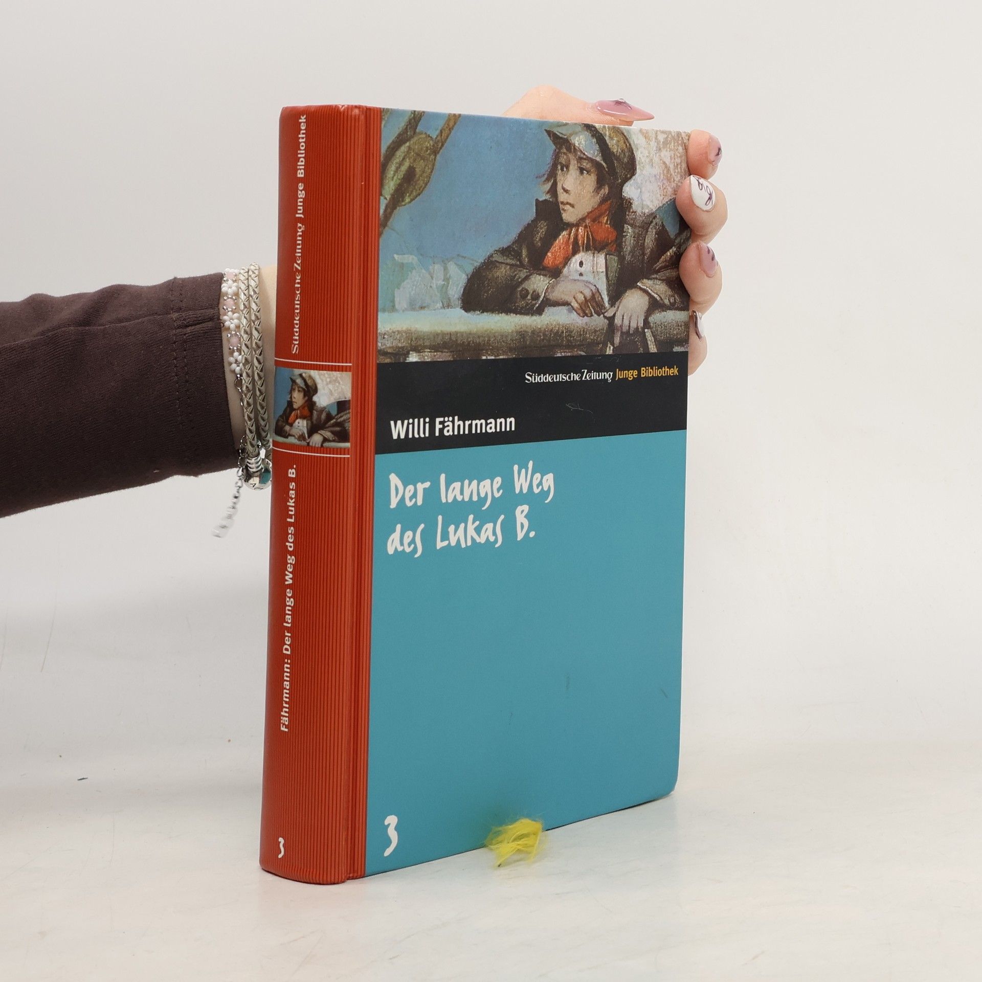 Willi Fährmann Der lange Weg des Lukas B.