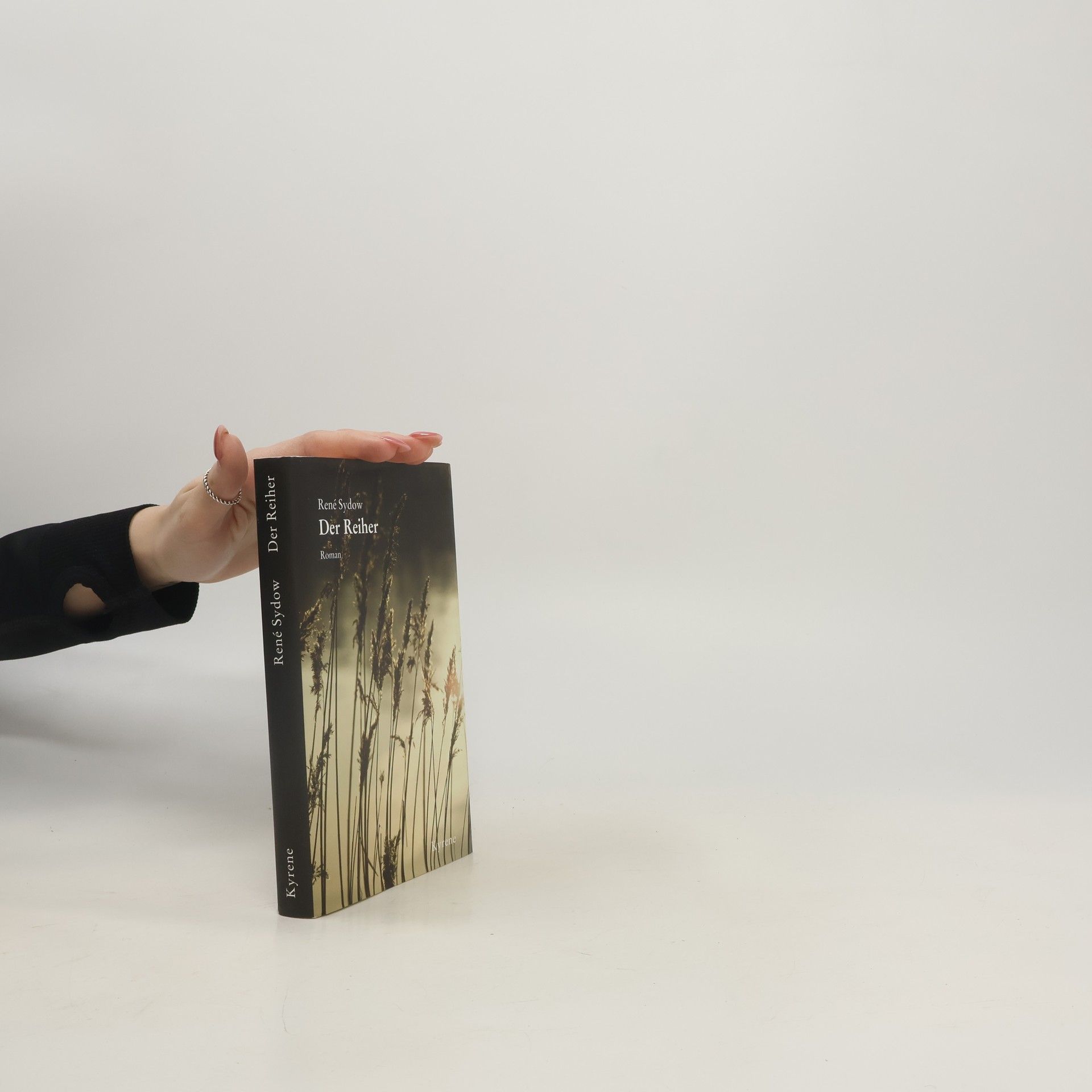 Rene Sydow Der Reiher