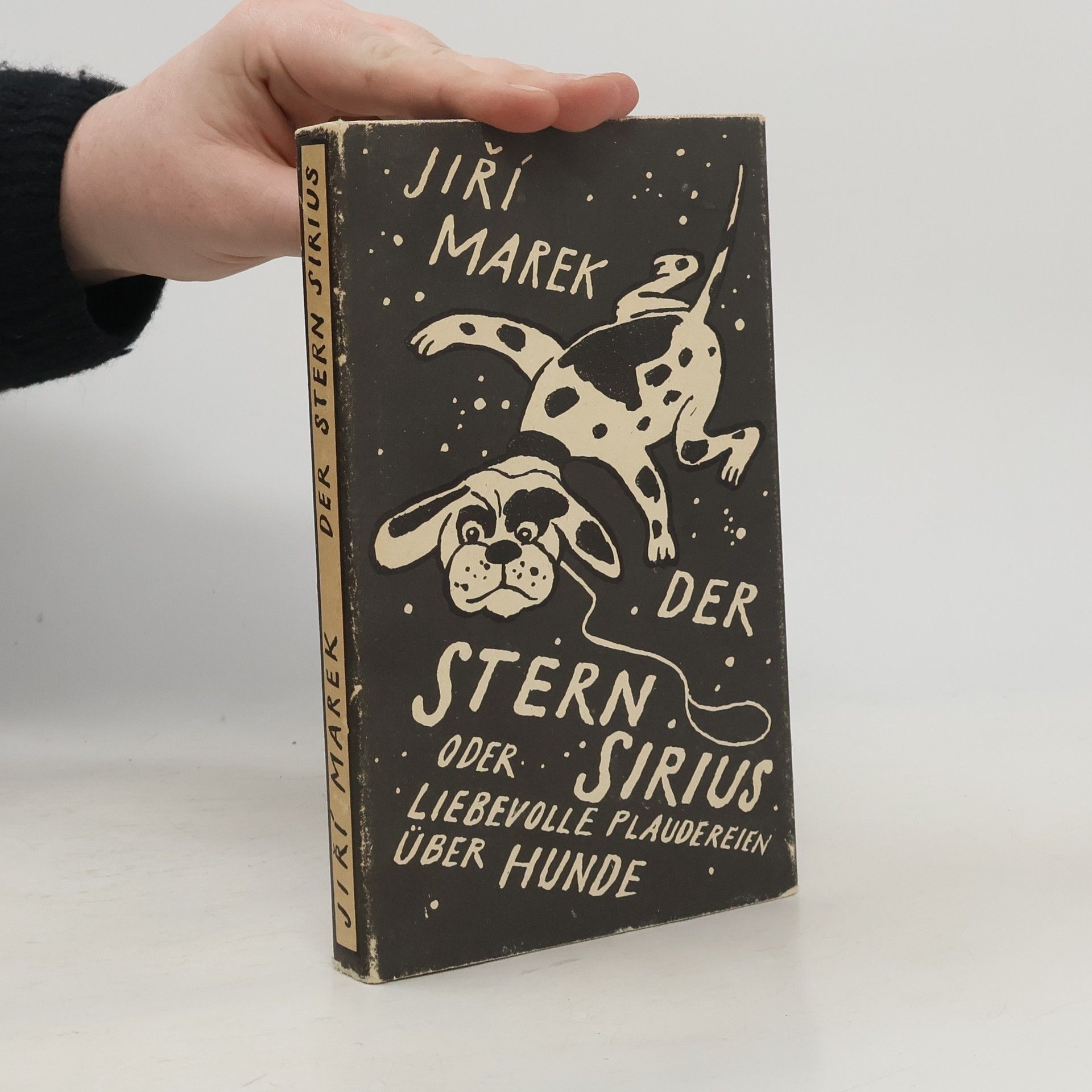 Der Stern oder Sirius