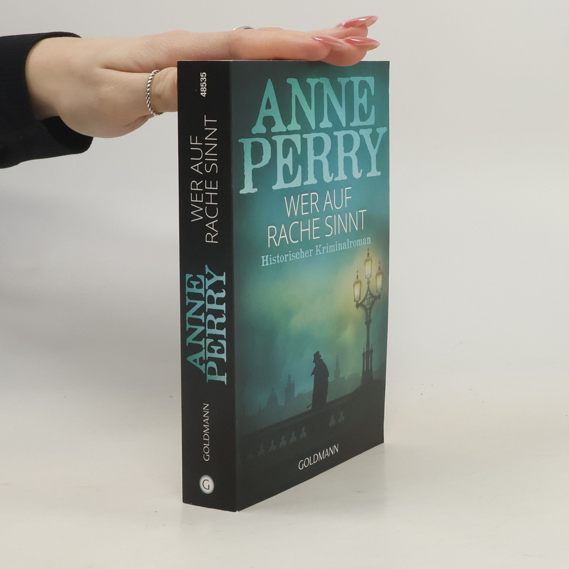 Anne Perry Wer auf Rache sinnt