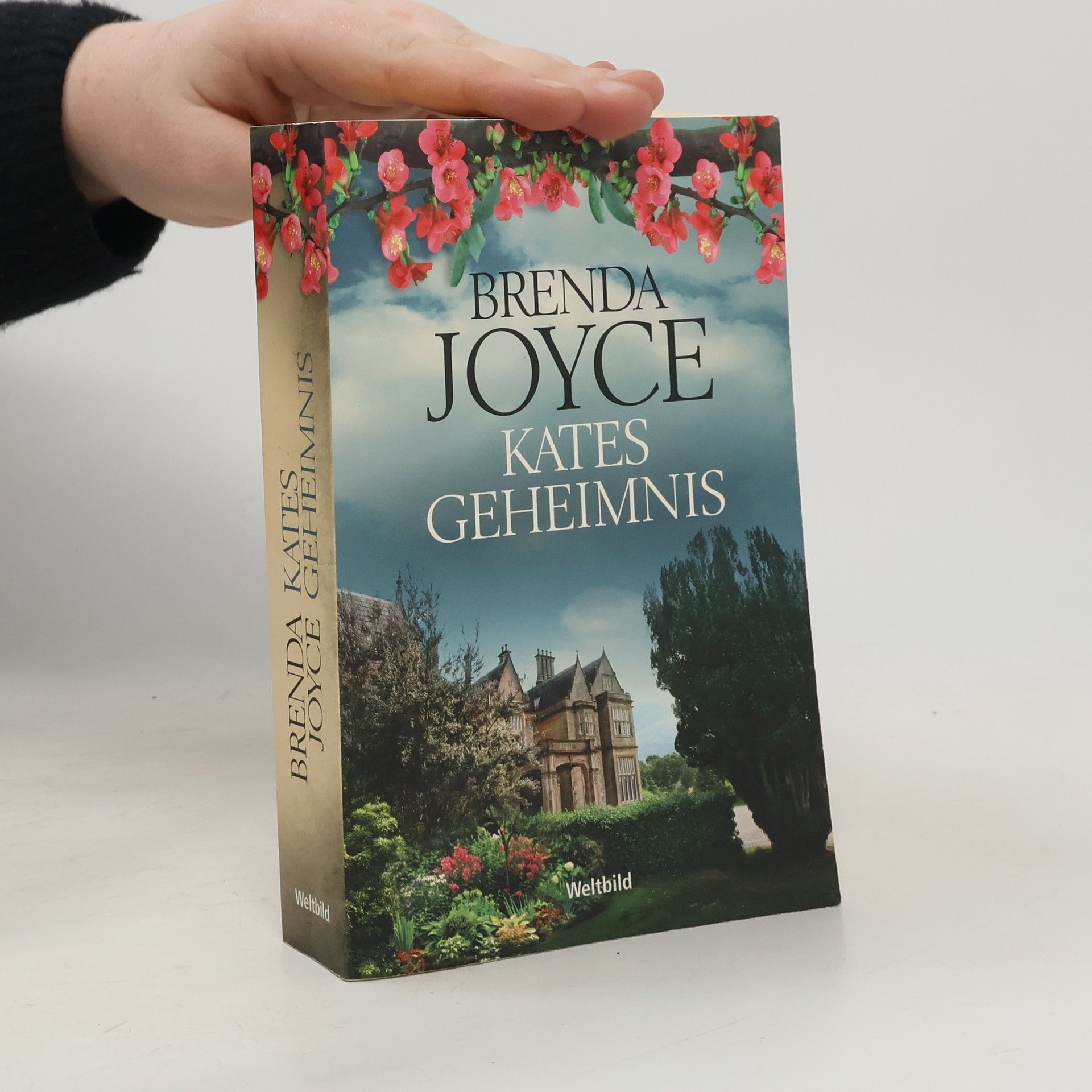 Brenda Joyce Kates Geheimnis