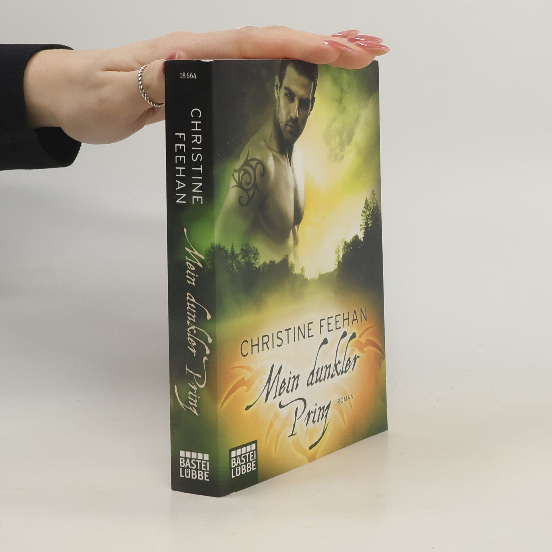 Christine Feehan Mein dunkler Prinz