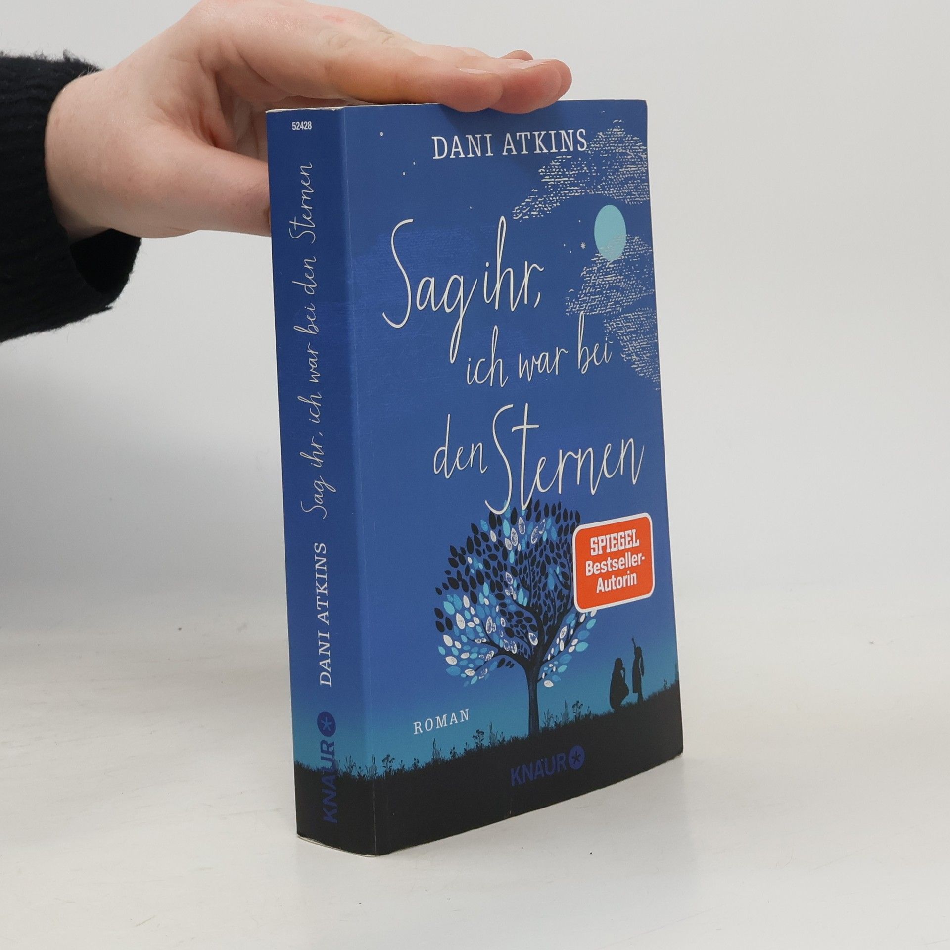 Dani Atkins Sag ihr, ich war bei den Sternen