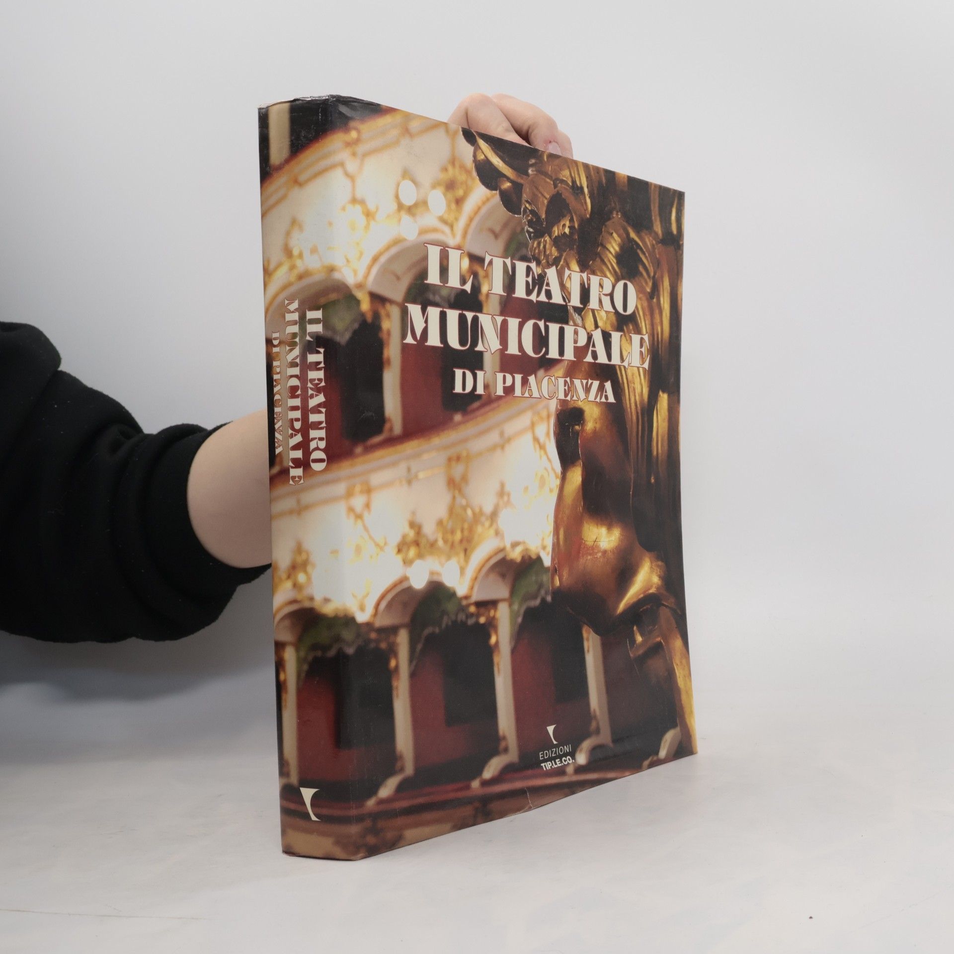 Autorenkollektiv Il Teatro municipale di Piacenza
