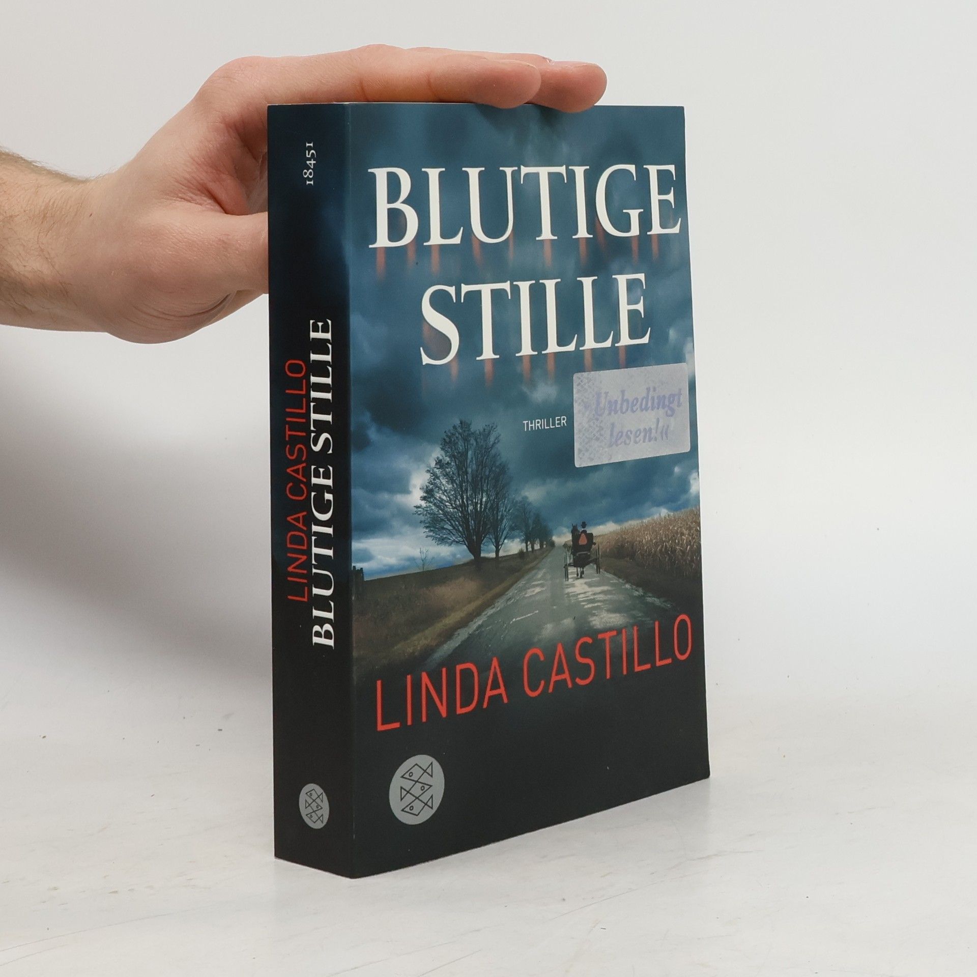 Linda Castillo Blutige Stille
