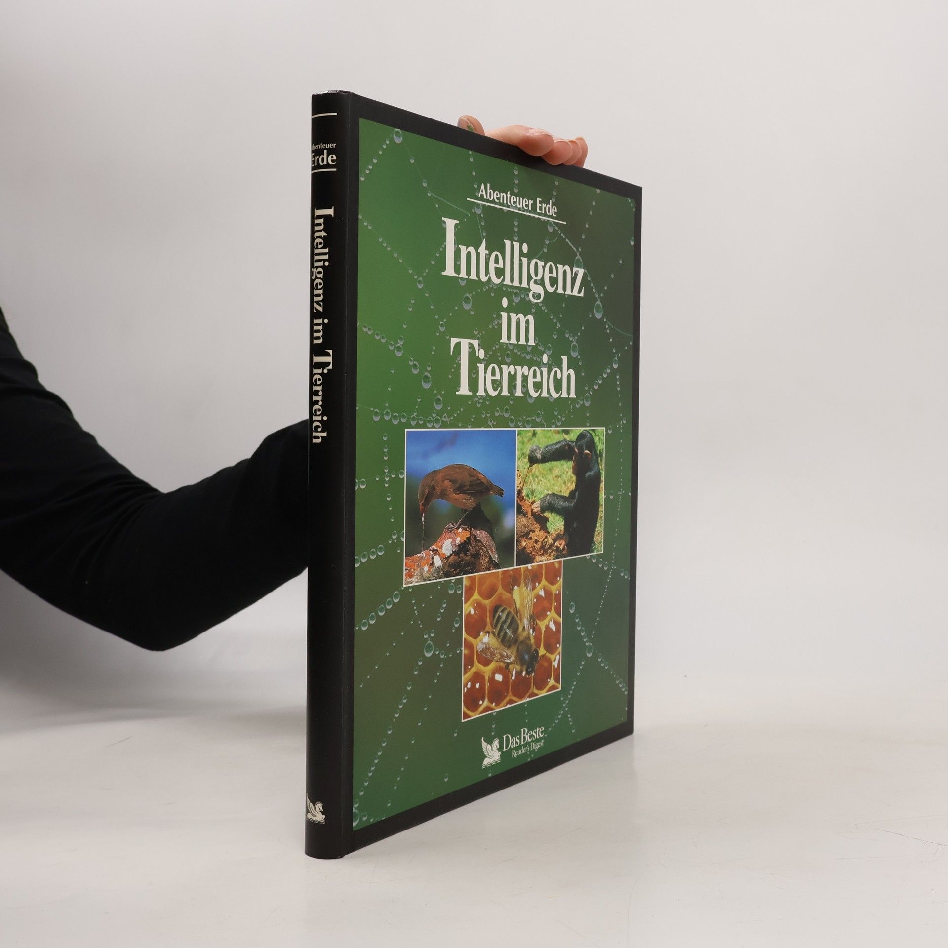 Kolektiv autorů Intelligenz im Tierreich