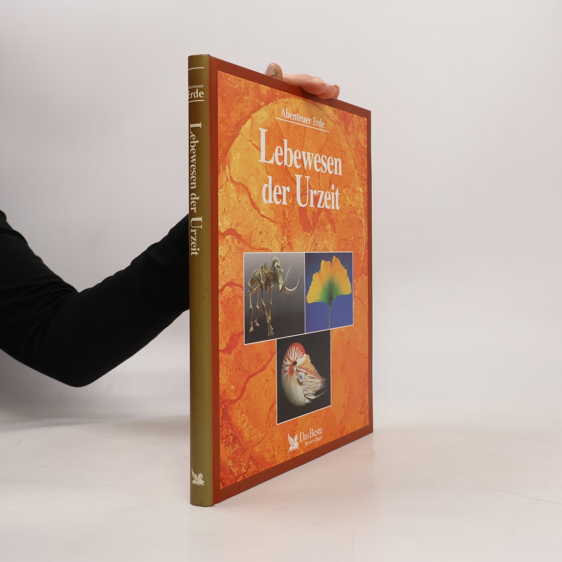 Douglas Palmer Lebewesen der Urzeit