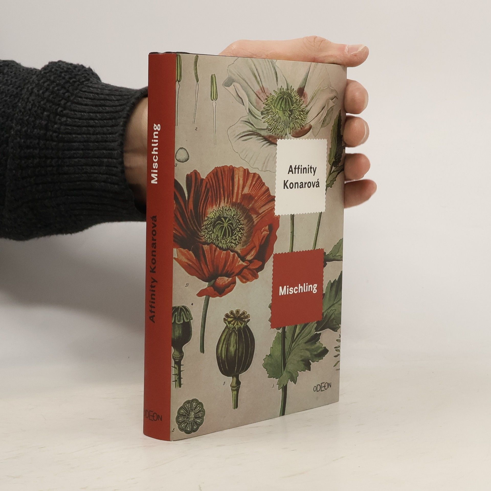 Affinity Konar Mischling