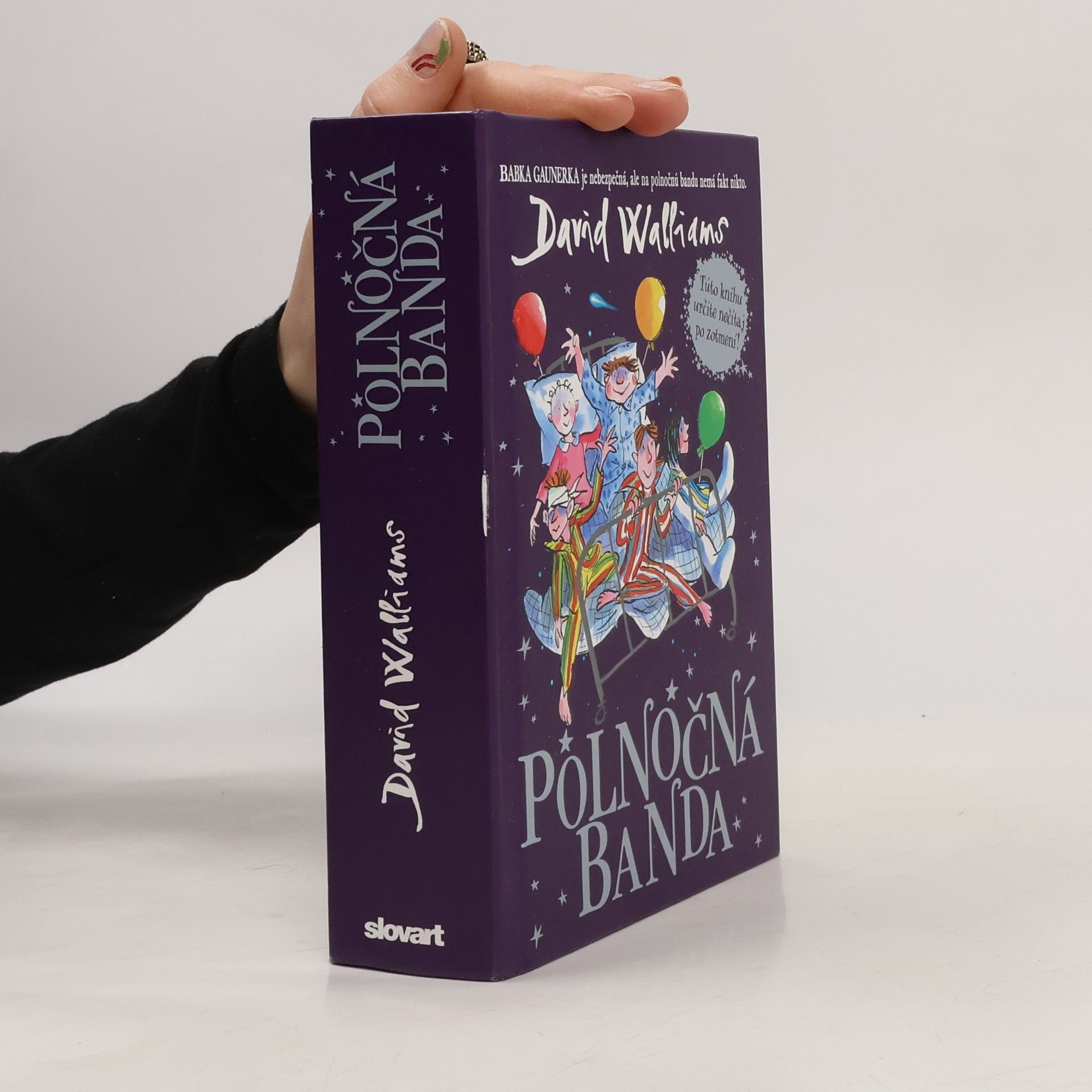 David Walliams Polnočná banda