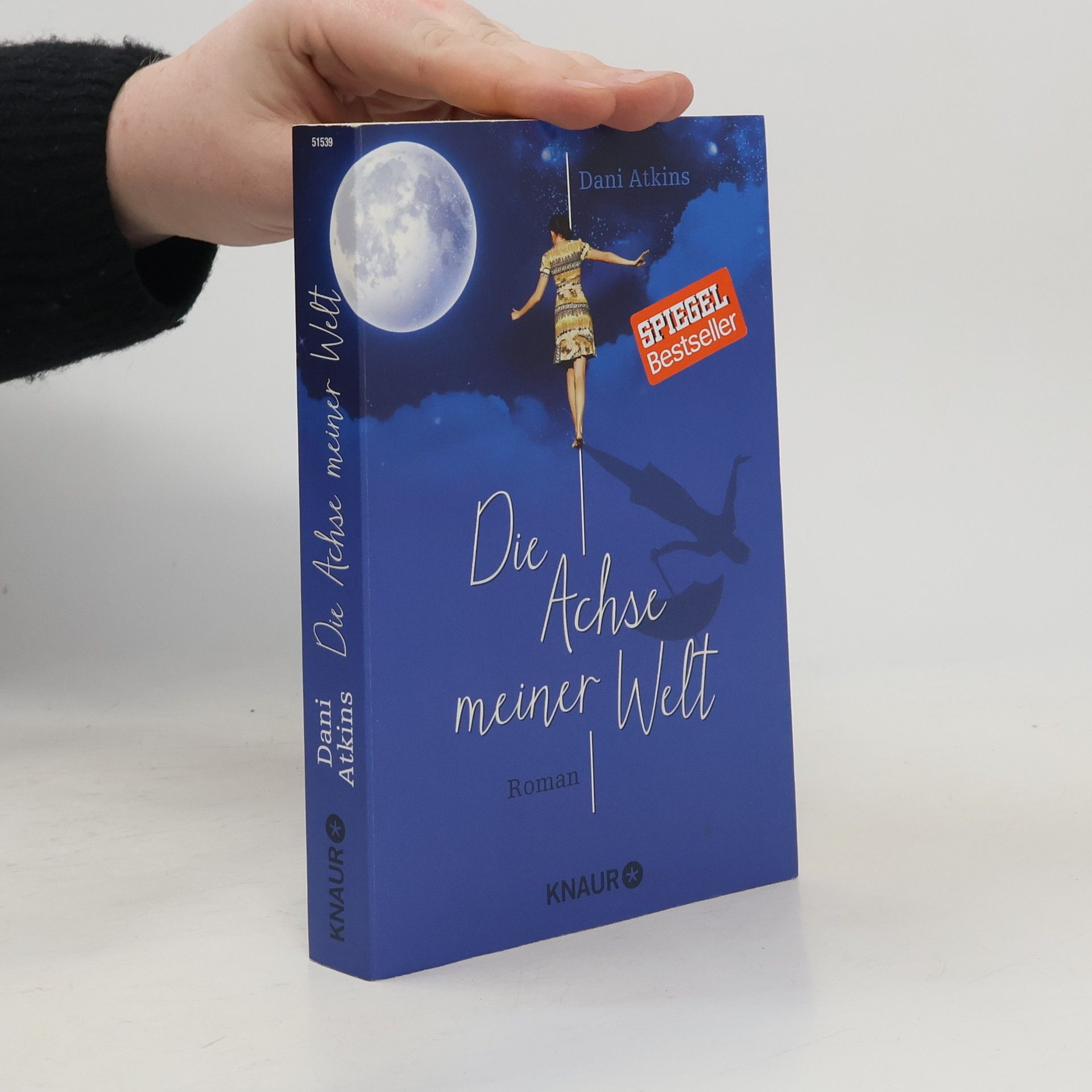 Dani Atkins Die Achse meiner Welt