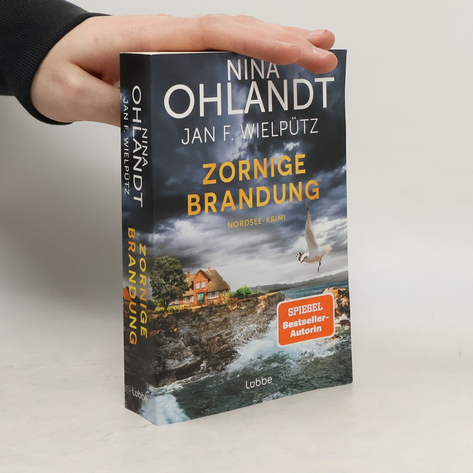 Nina Ohlandt Zornige Brandung