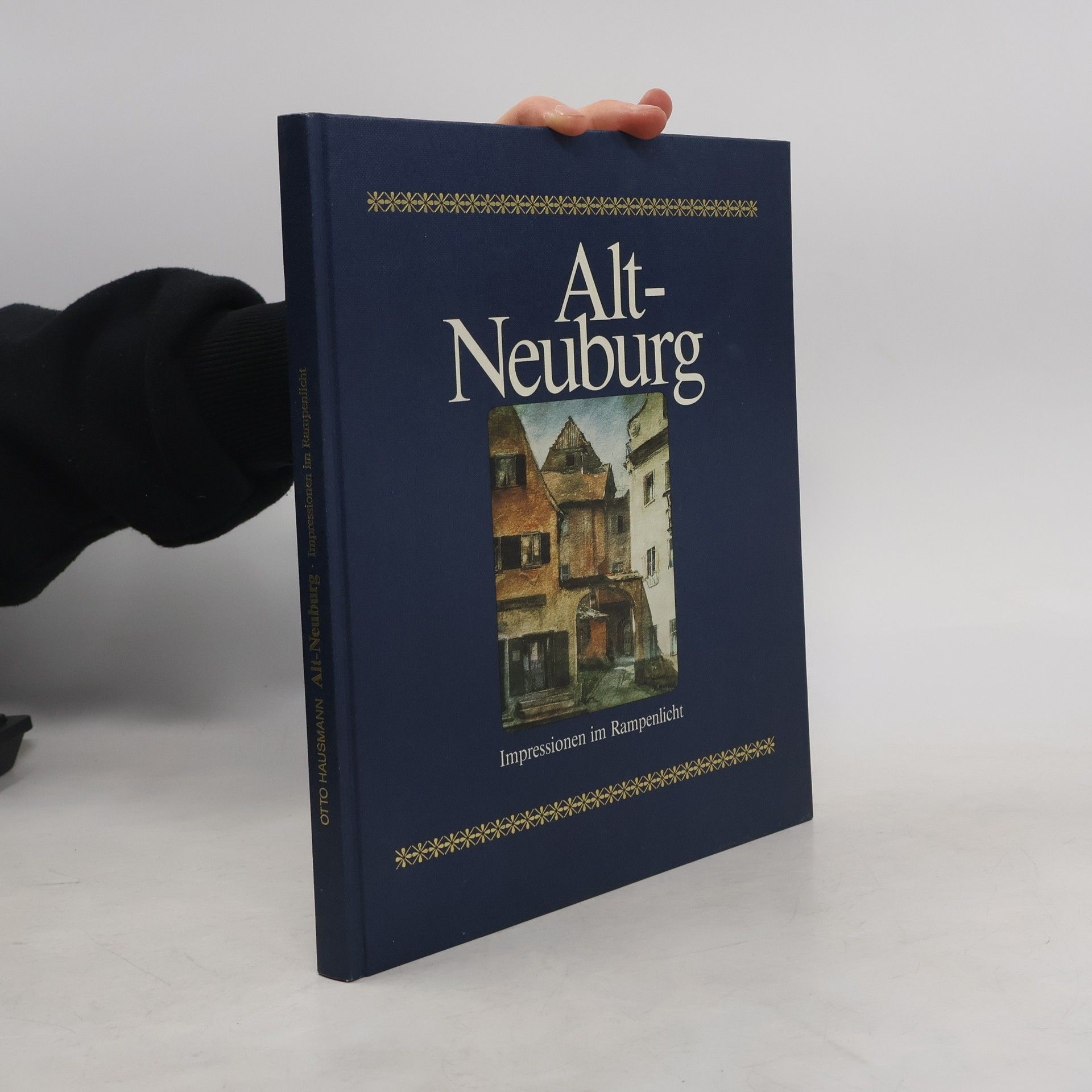 Collectif d'auteurs Alt-Neuburg