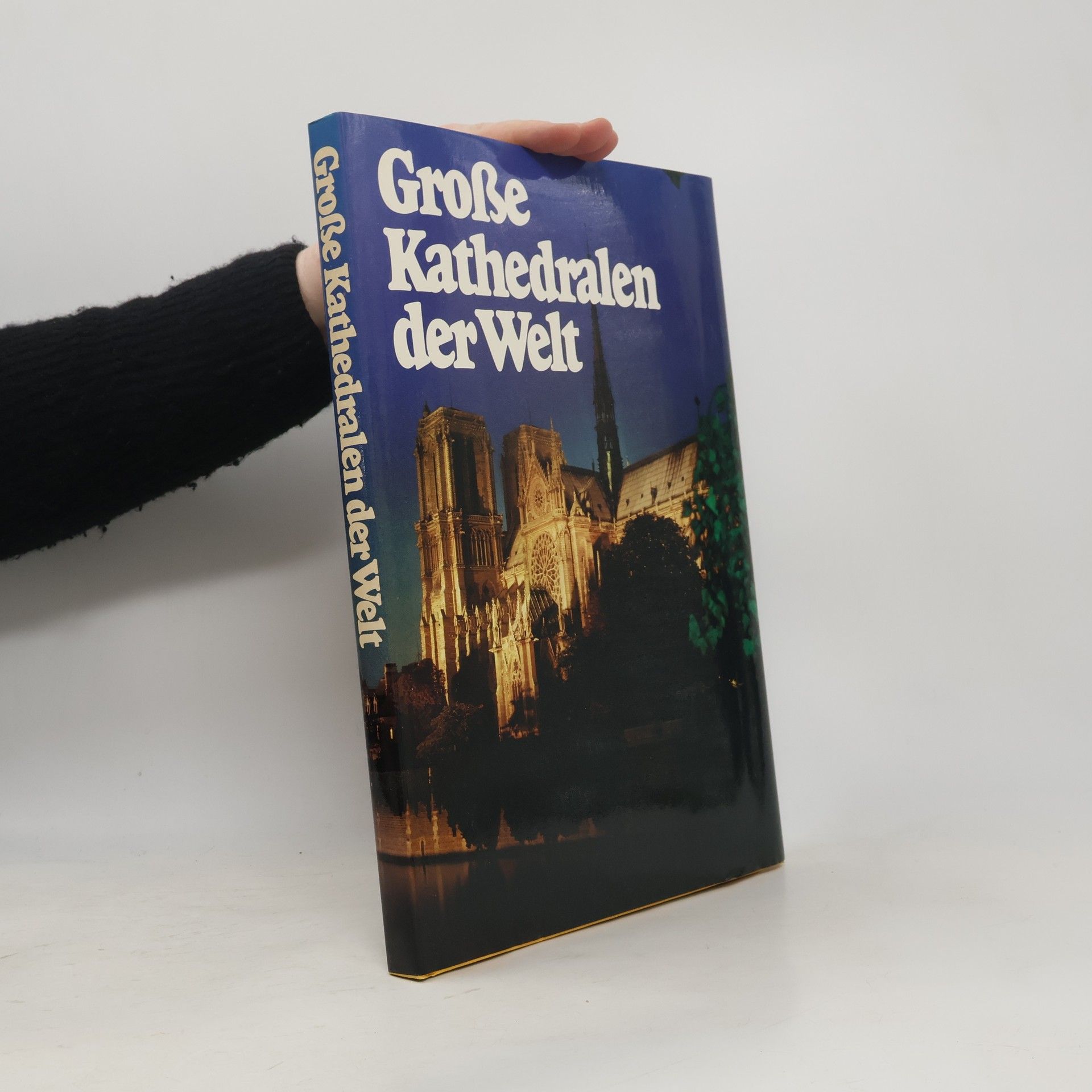 Neil Grant Große Kathedralen der Welt