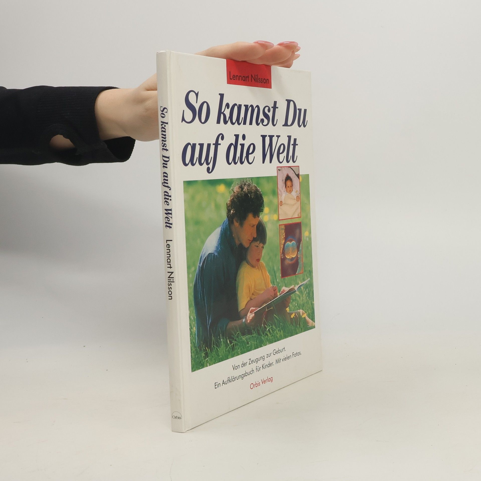 So kamst du auf die Welt