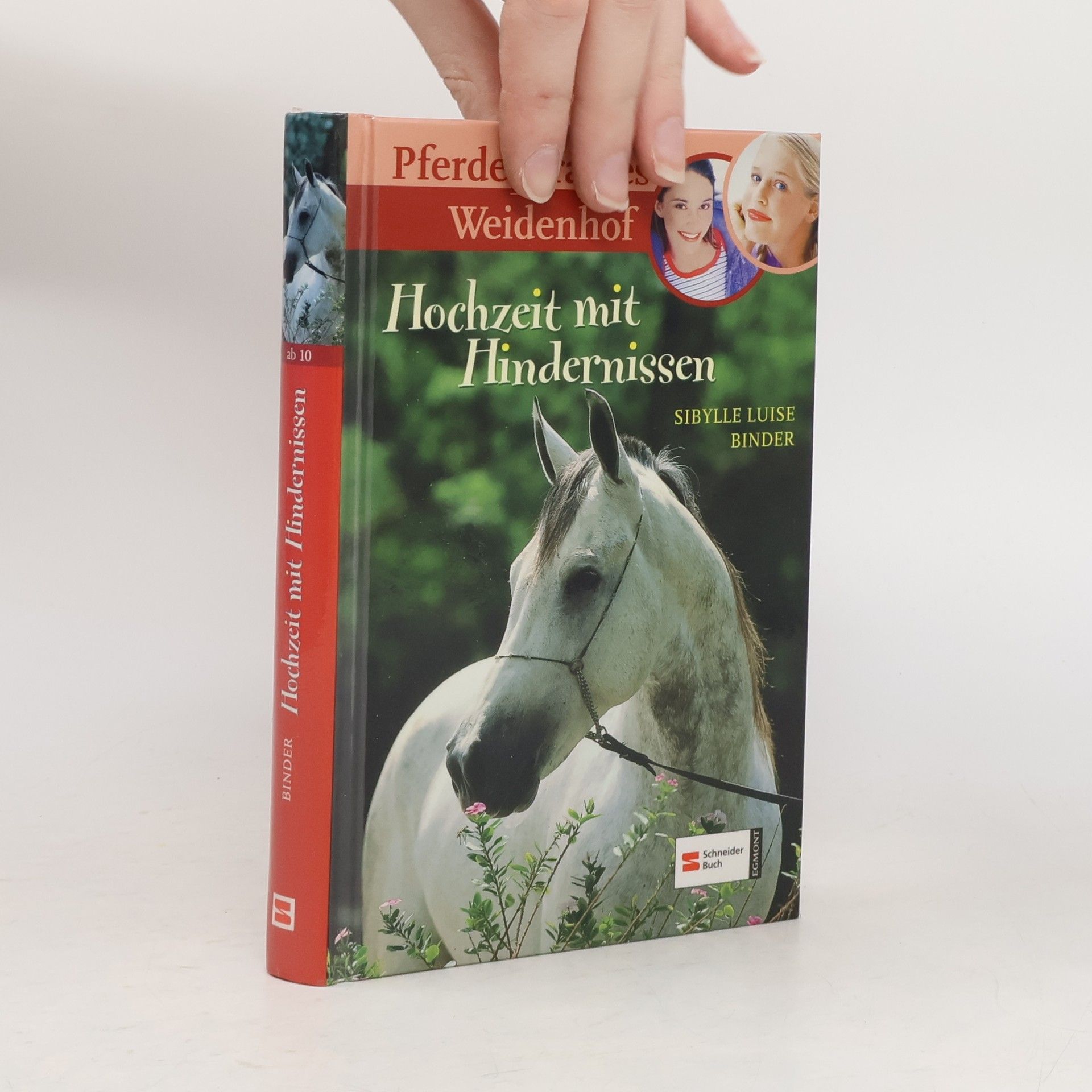 Sibylle Luise Binder Pferdeparadies Weidenhof. Hochzeit mit Hindernissen